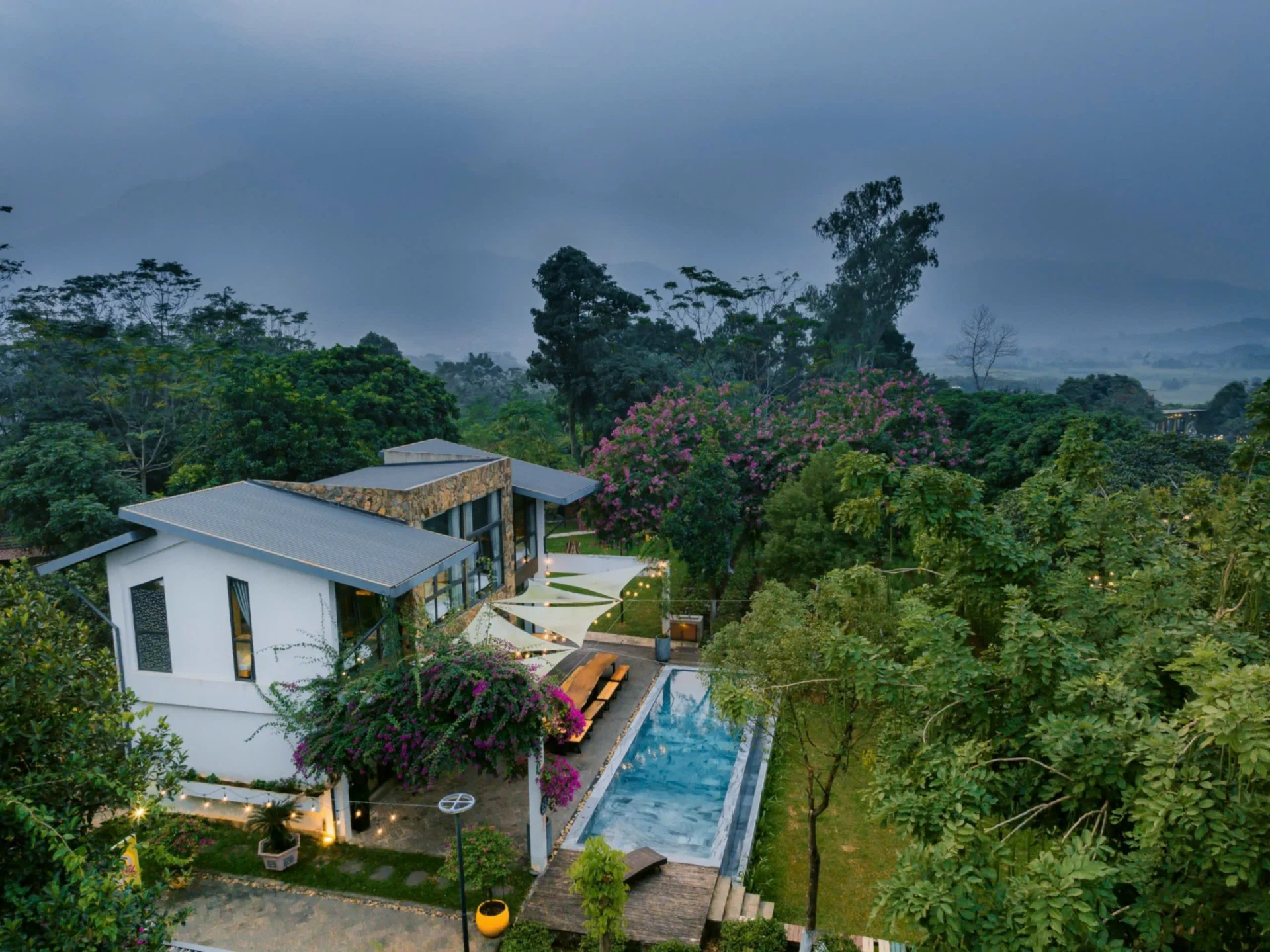 Camelia Villa - ảnh 4