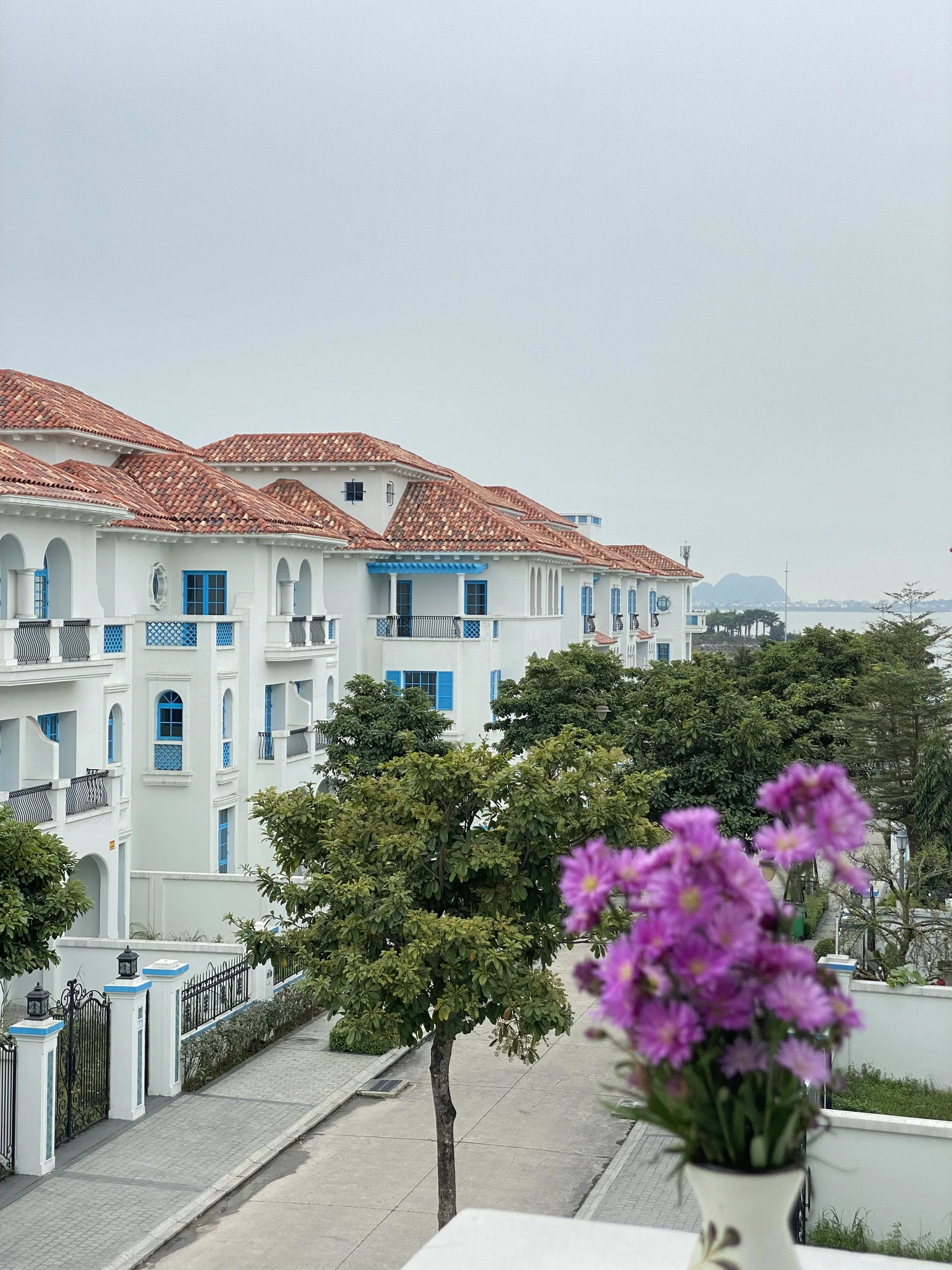 C305 Sunferia - ảnh 4