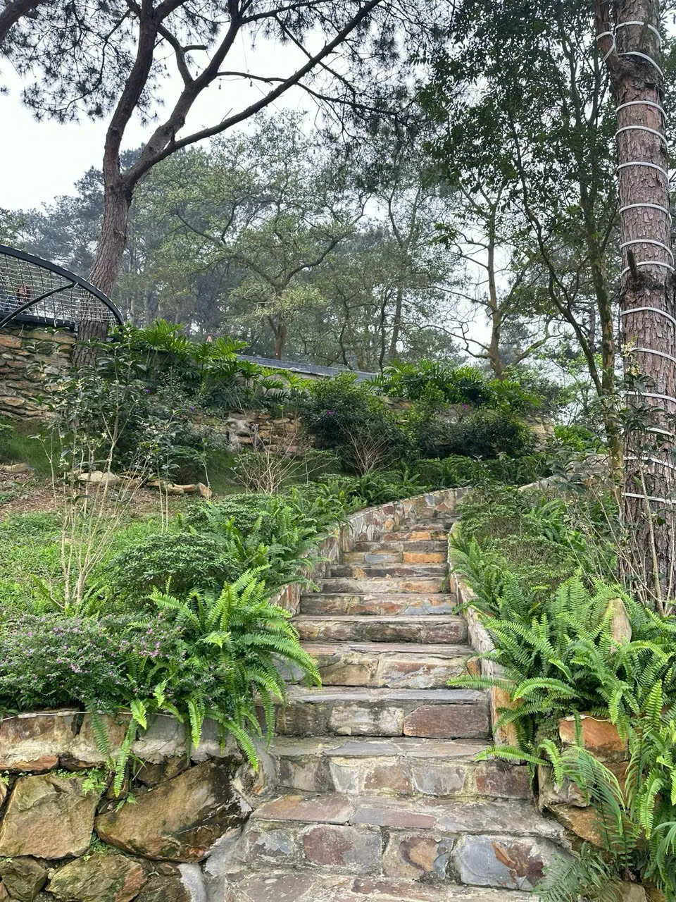Hobbit Homestay - ảnh 5
