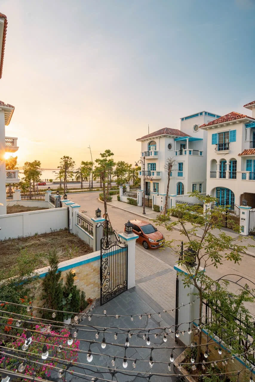 C533 Sunferia - ảnh 2