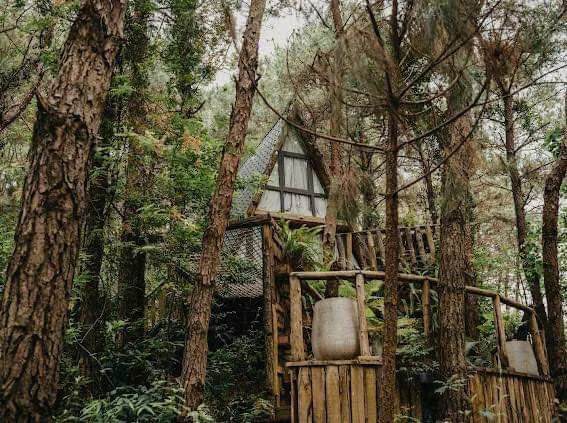 Happy House Choai Homestay - ảnh 4