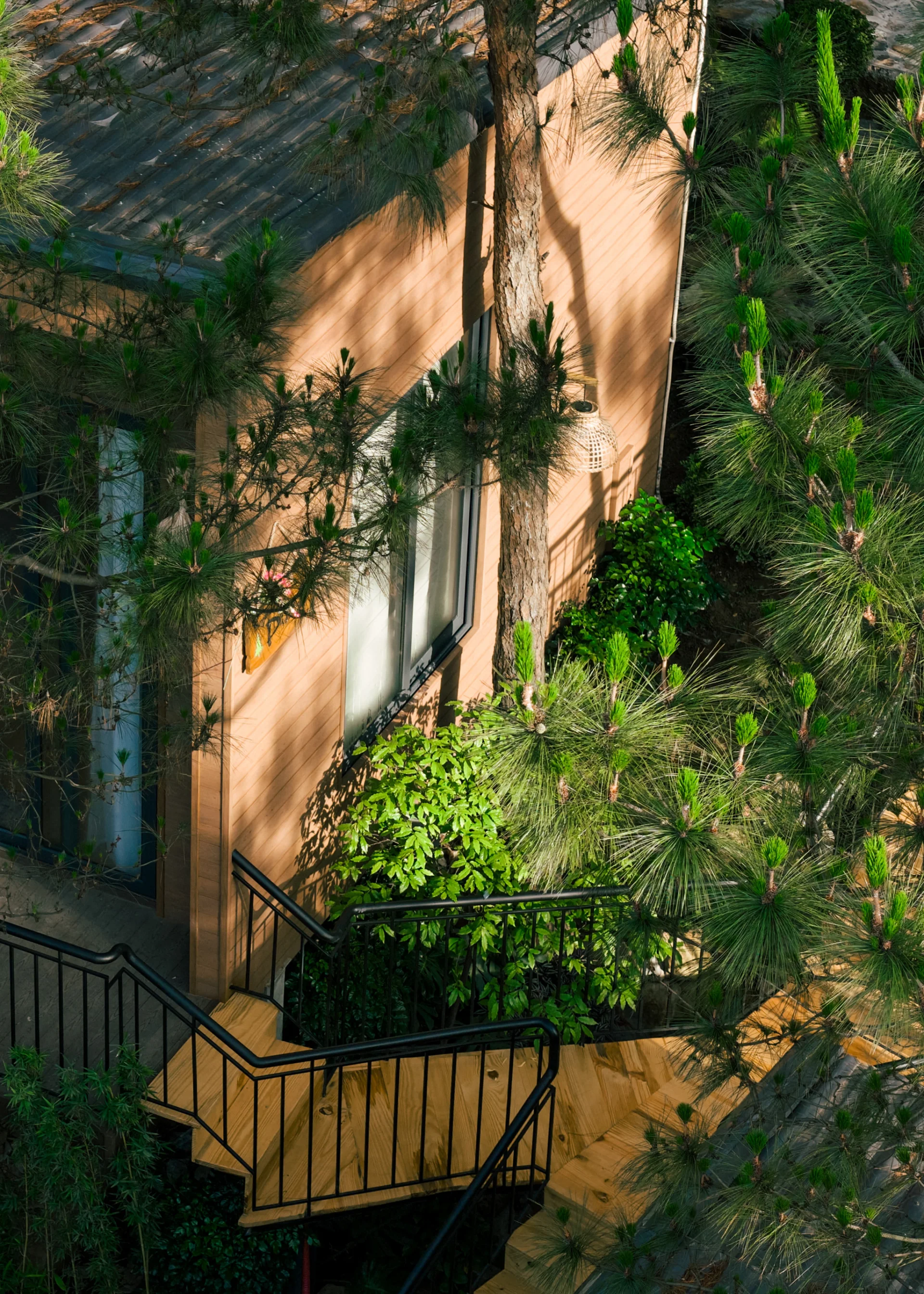 Pine 3 Ruby Bungalow - ảnh 2