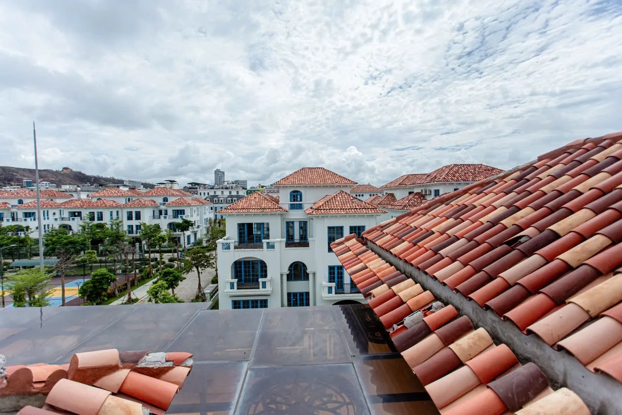 M538 Sunferia - ảnh 4