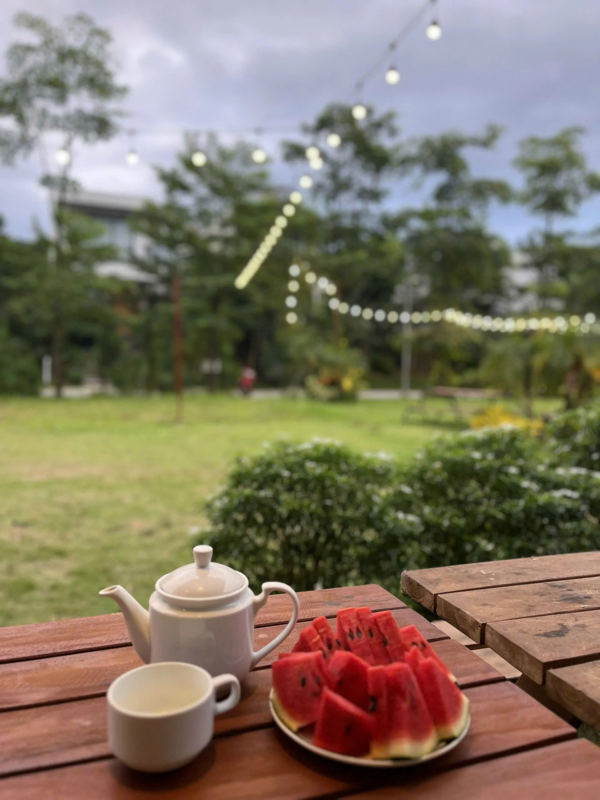 E1.5 Villa Venus Đại Lải - Khu B - ảnh 4