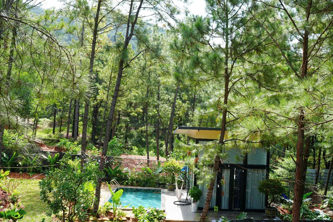 Me Homestay - ảnh 3