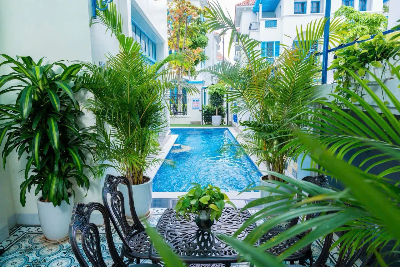 C625 Sunferia - ảnh 2