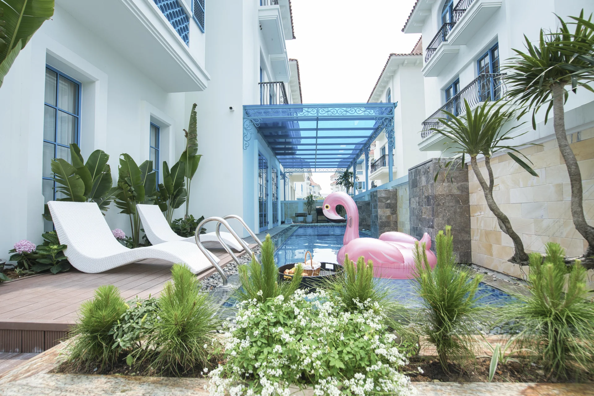 M522 Sunferia - ảnh 3