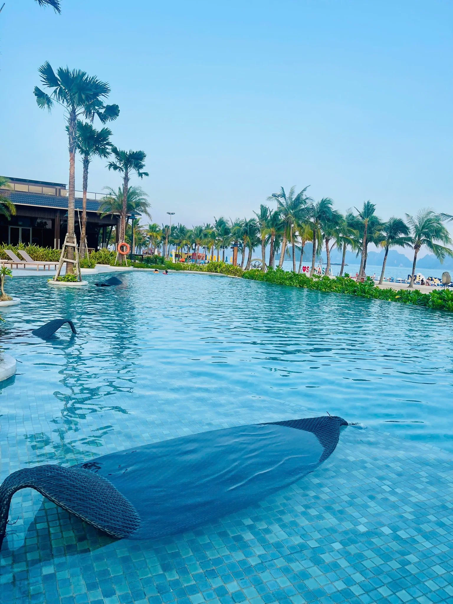 V2B06 Villa - ảnh 5