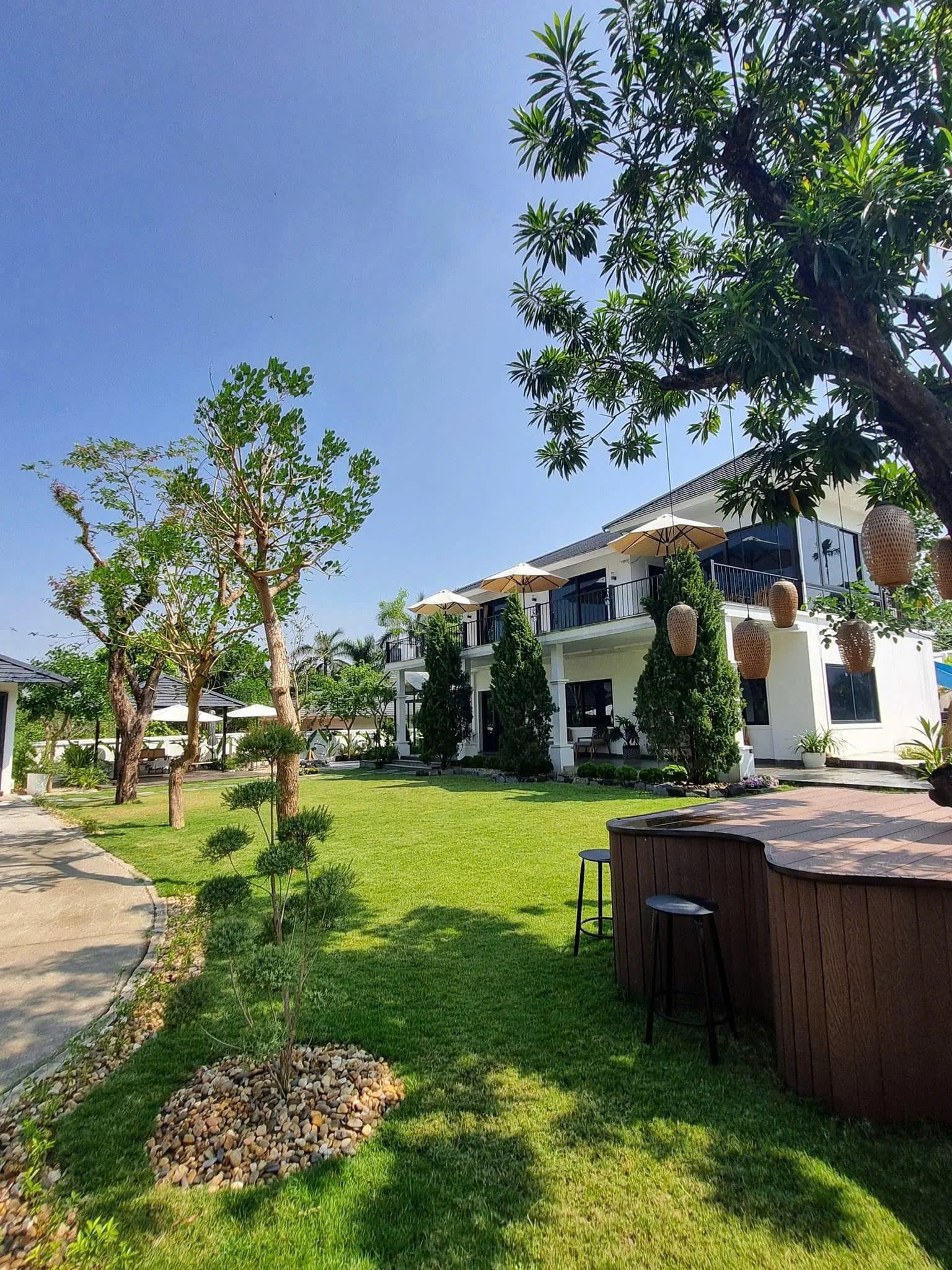 Adela Villa - ảnh 5