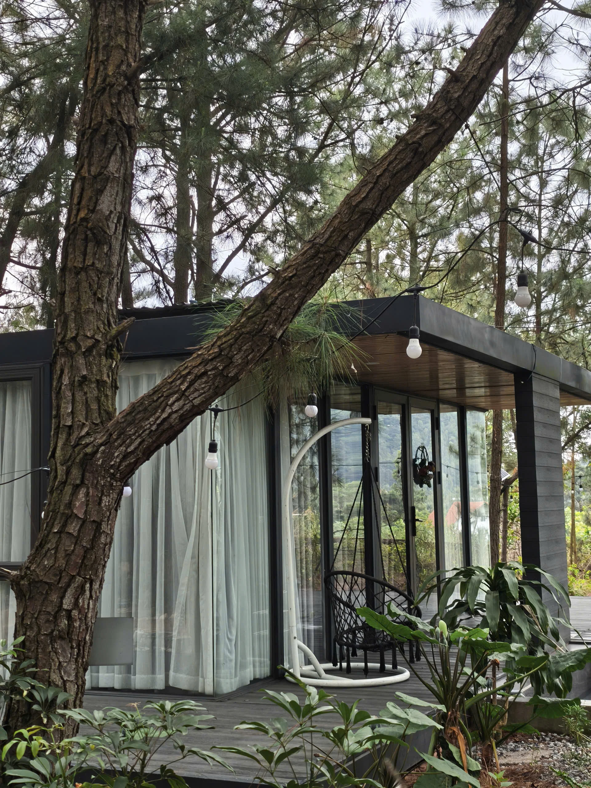 Mimi Homestay - ảnh 2