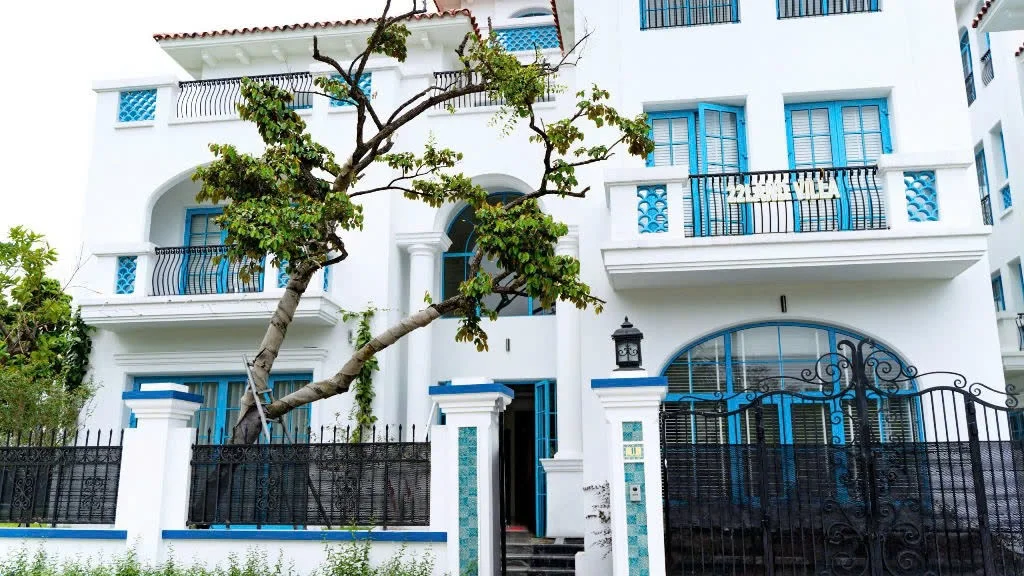 M111 Sunferia - ảnh 2