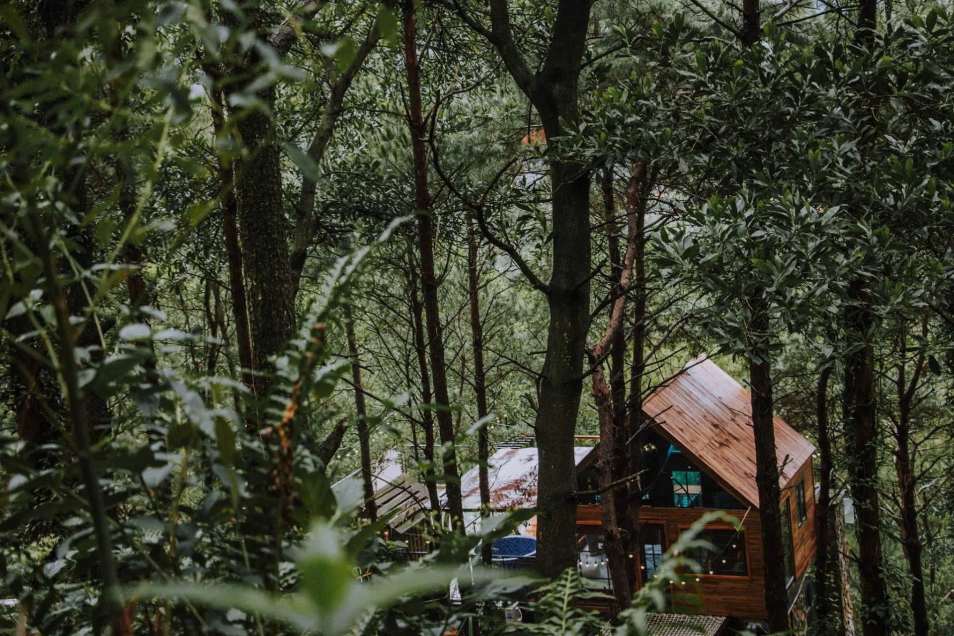 Rooftop Choai Homestay - ảnh 2