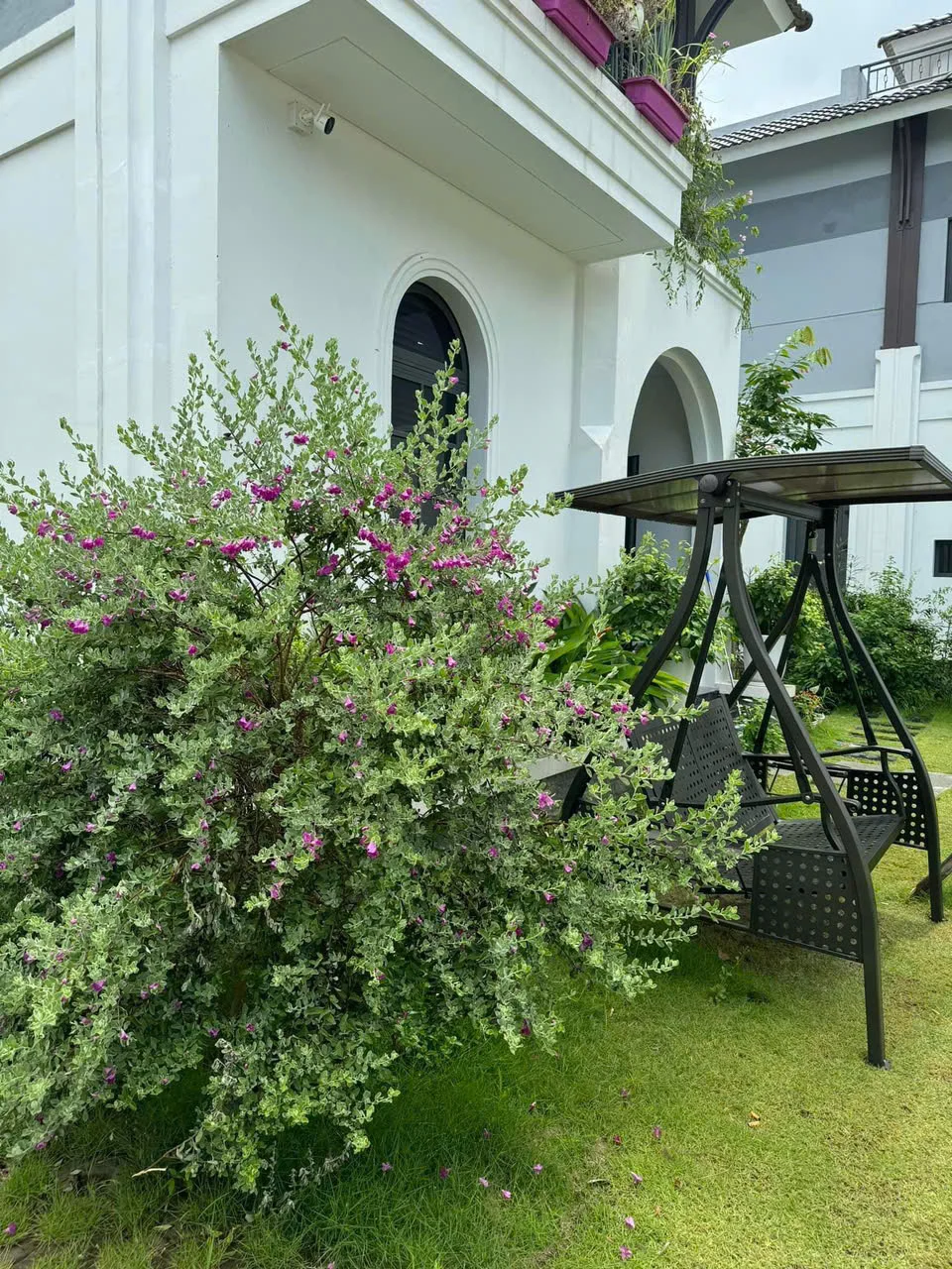 V2B08 Villa - ảnh 2