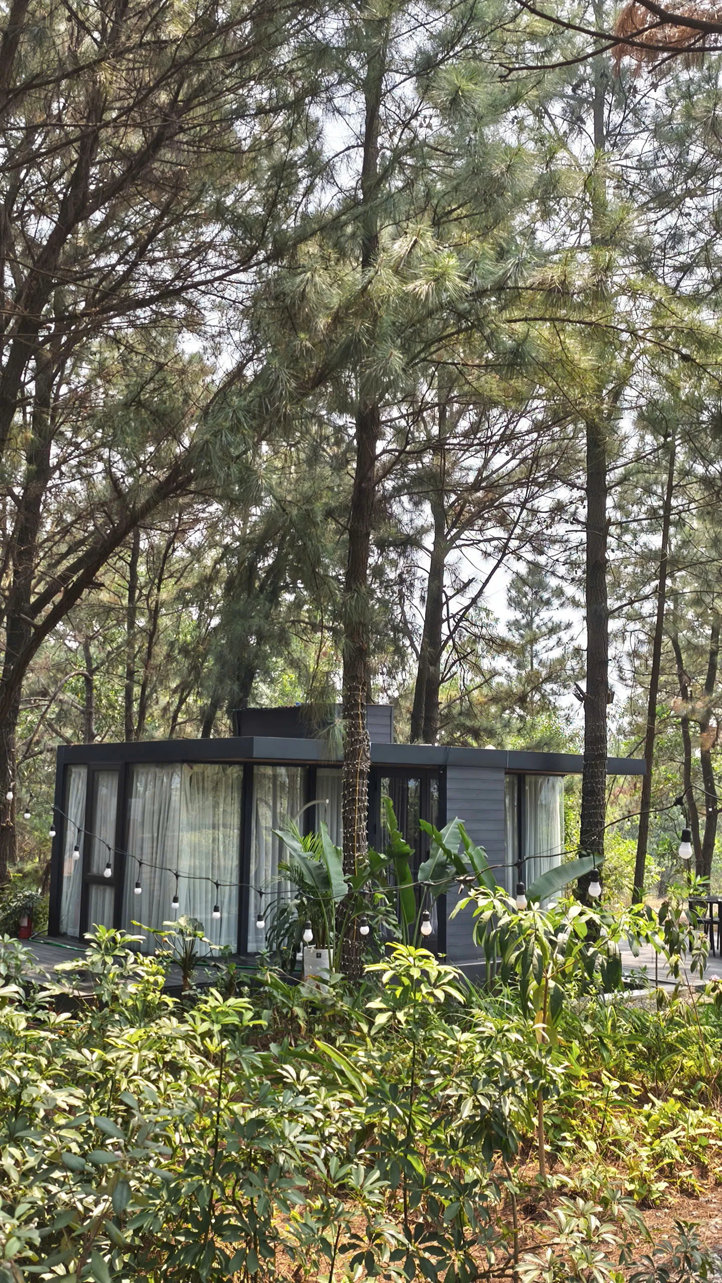 Mimi Homestay - ảnh 3