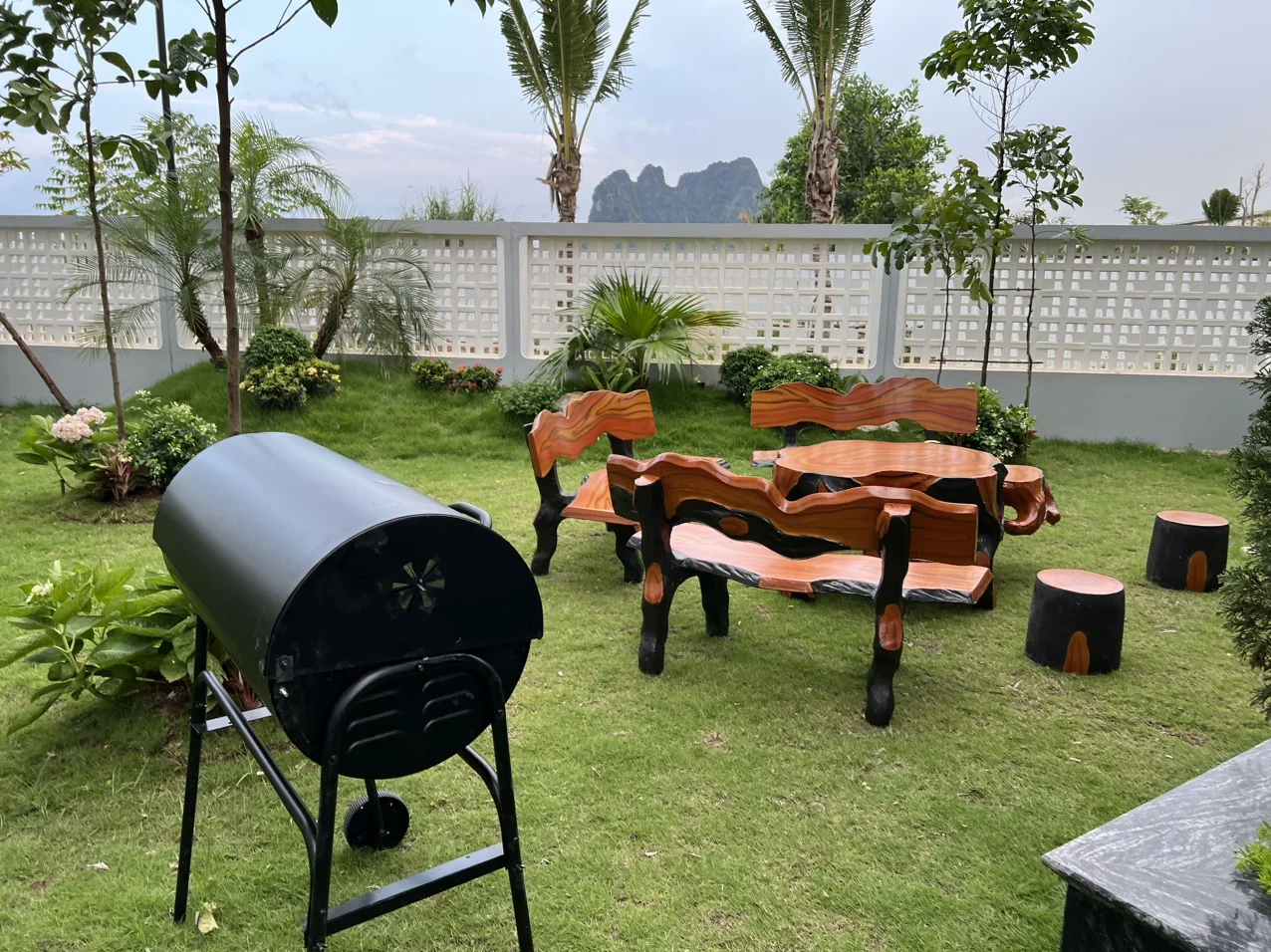 V3N01 Villa - ảnh 2