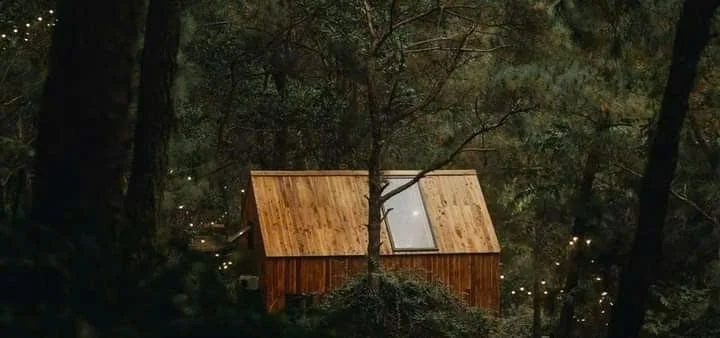 Fullhouse Choai Homestay - ảnh 3