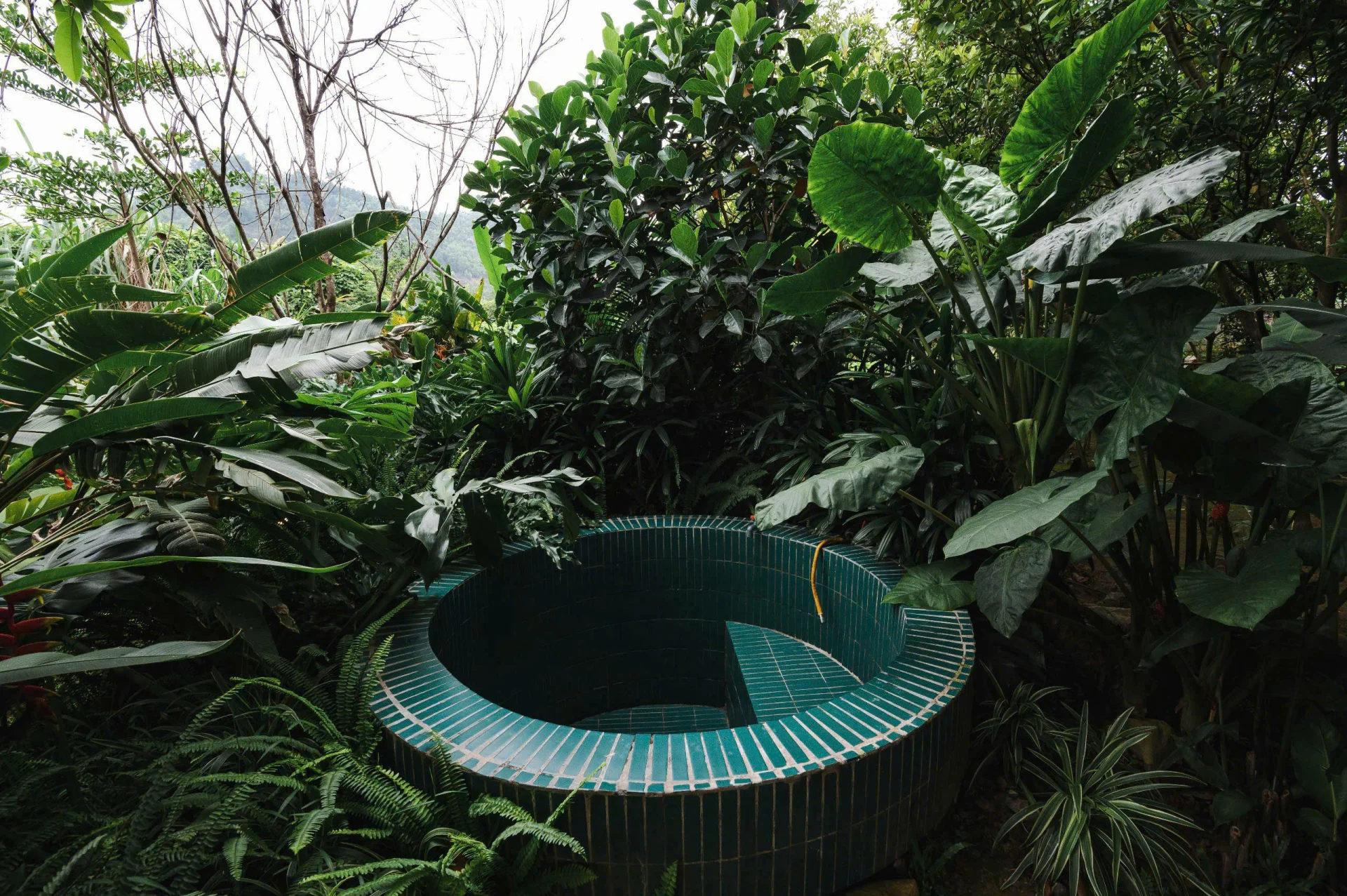 Xiem Y Bungalow - ảnh 4