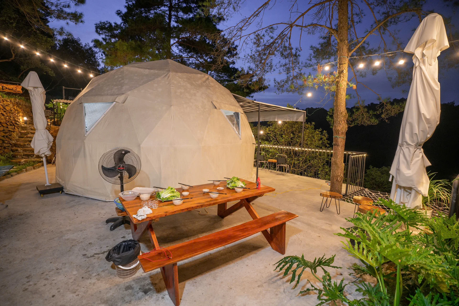 Pine Homestay  - ảnh 2