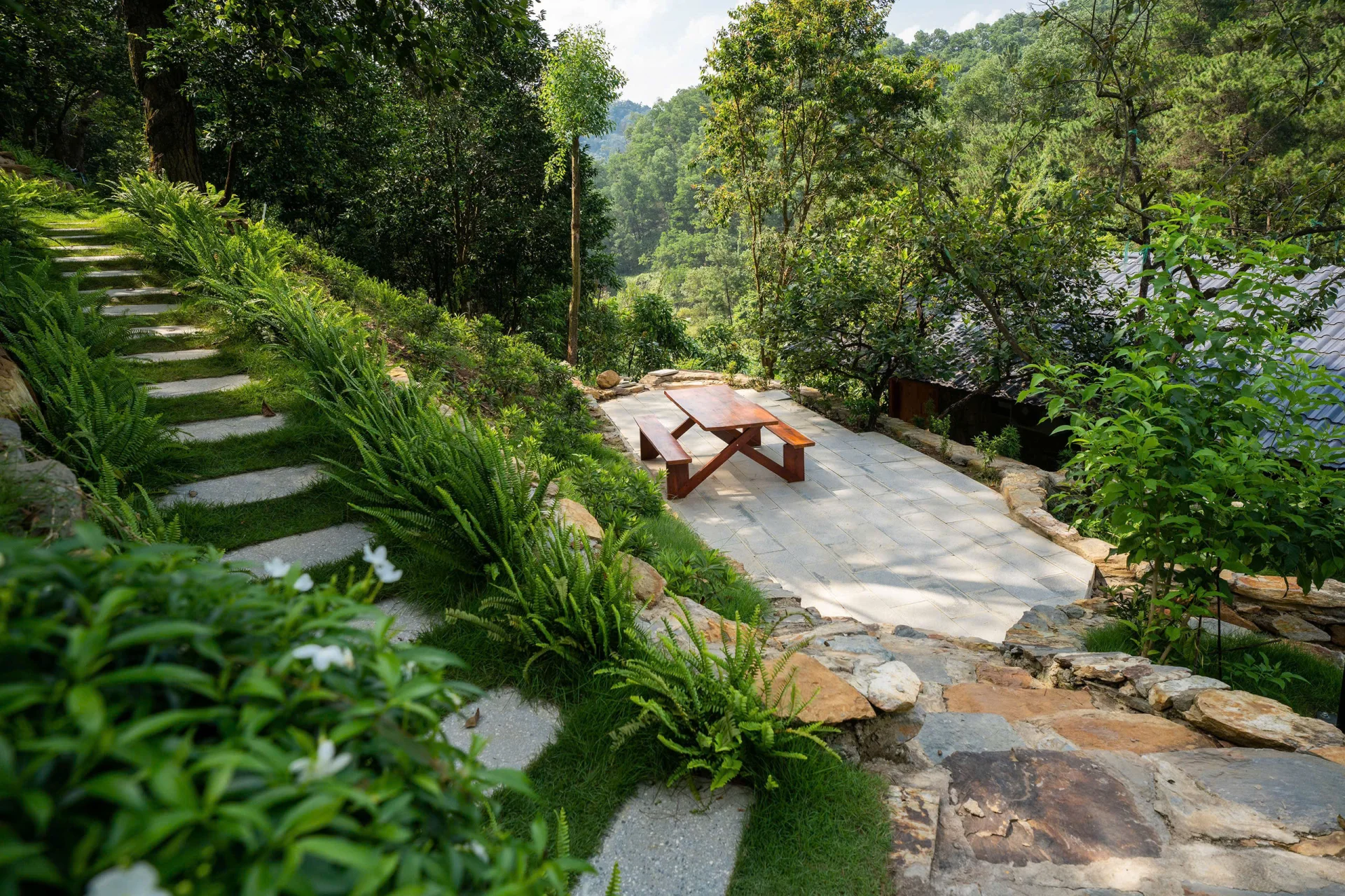Pine Homestay  - ảnh 4