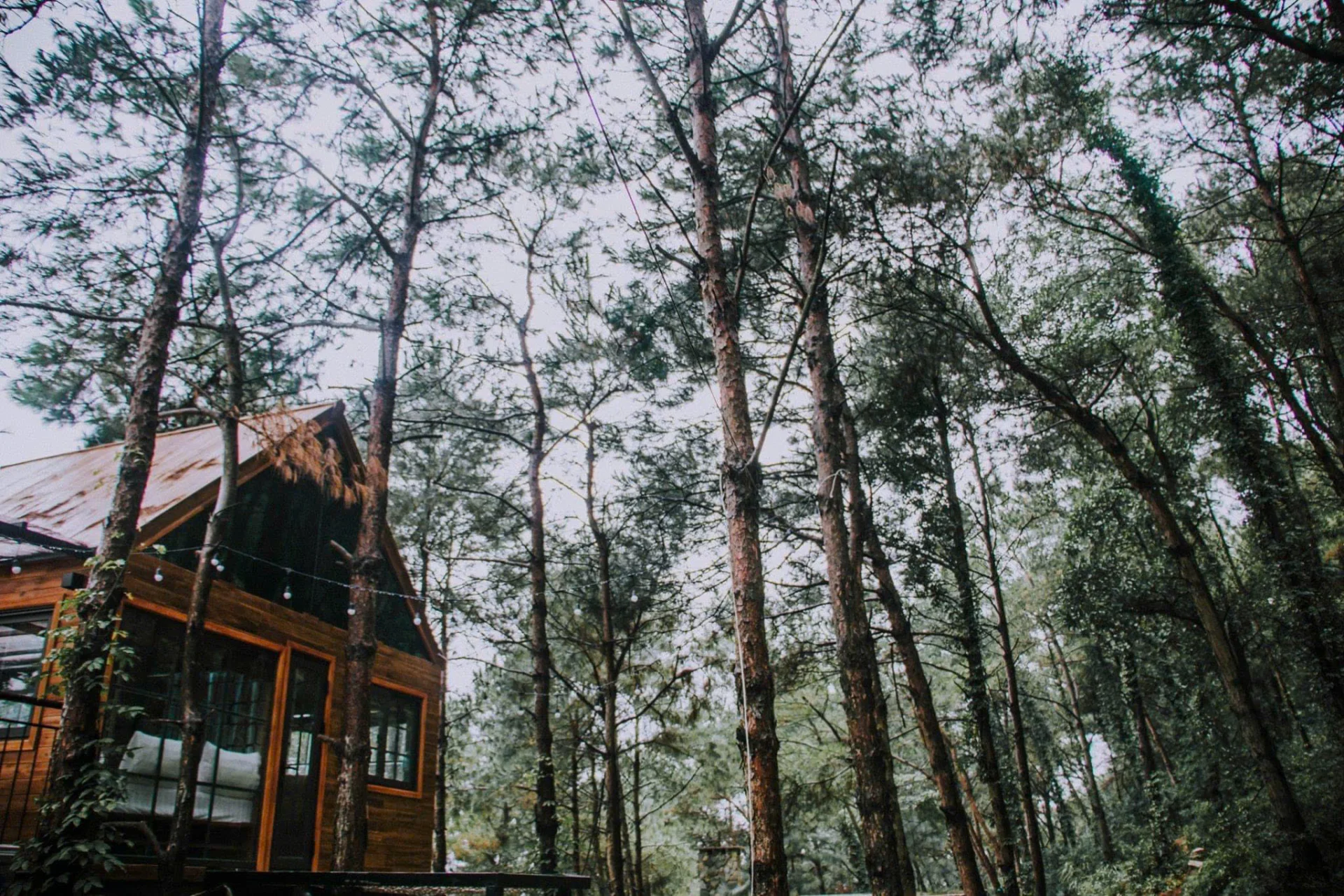 Rooftop Choai Homestay - ảnh 5