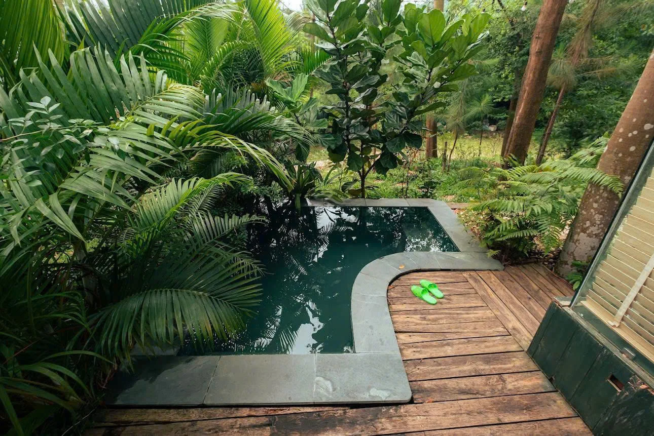 Oliu Homestay - ảnh 5