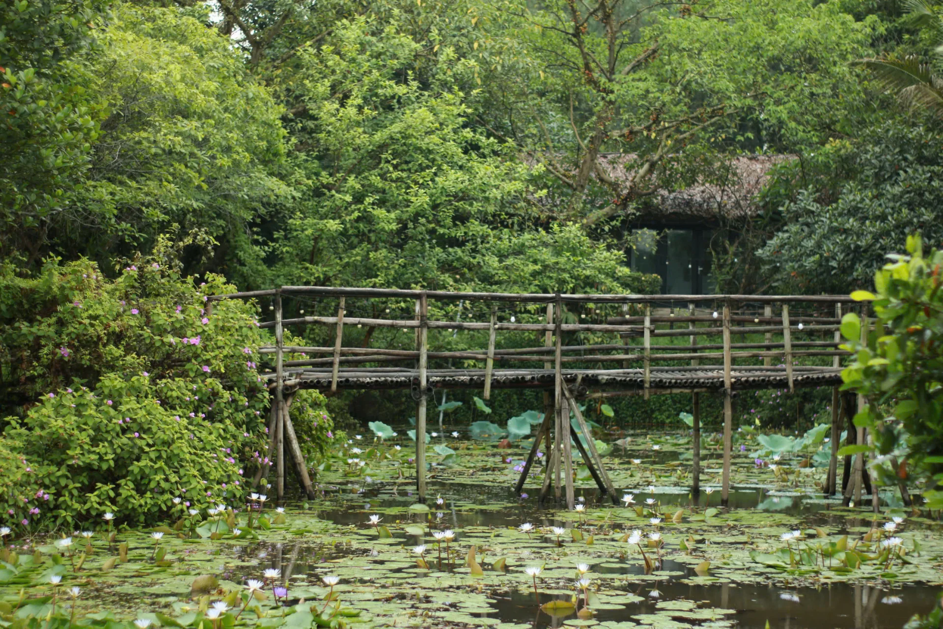 Một Yên Đồng Quan Homestay - ảnh 3