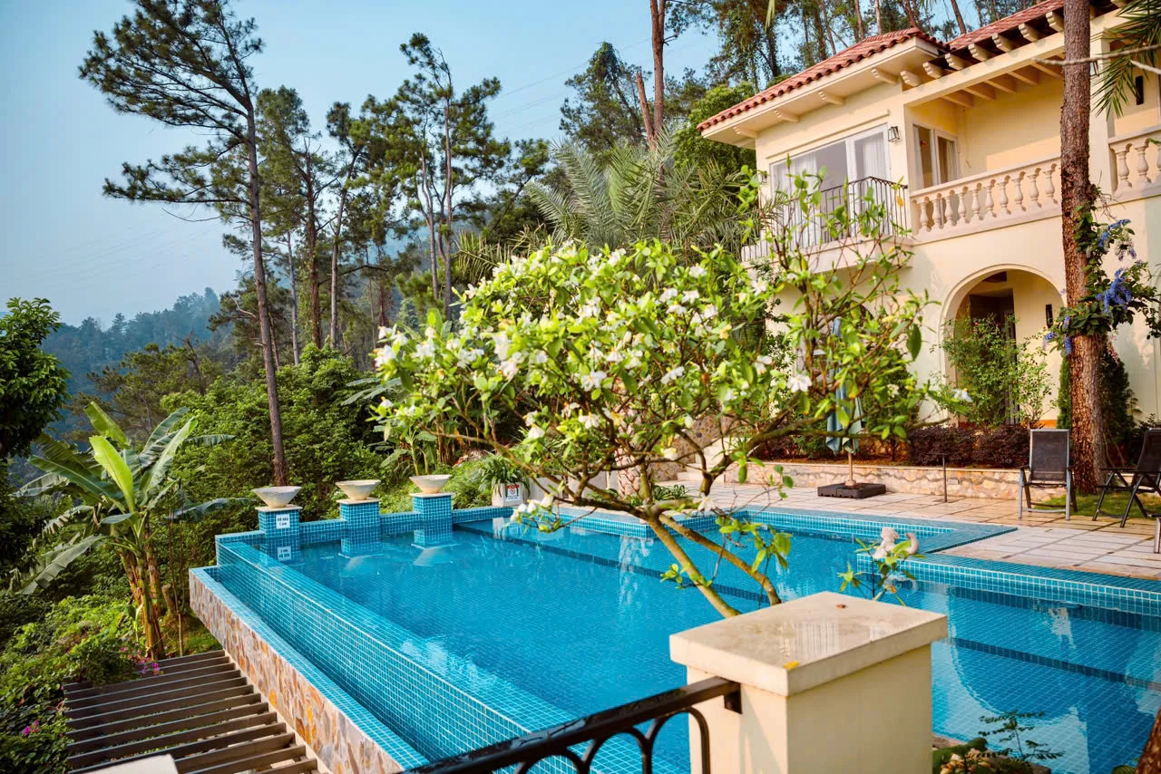 Tus Villa - ảnh 3