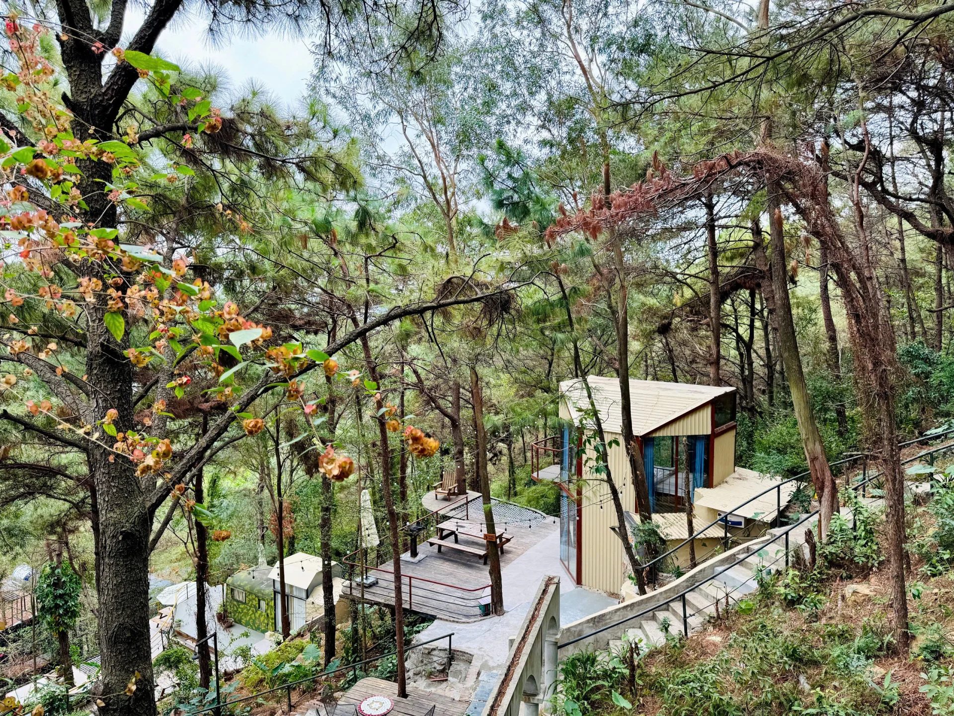 Tổ Chim Debay Homestay - ảnh 2