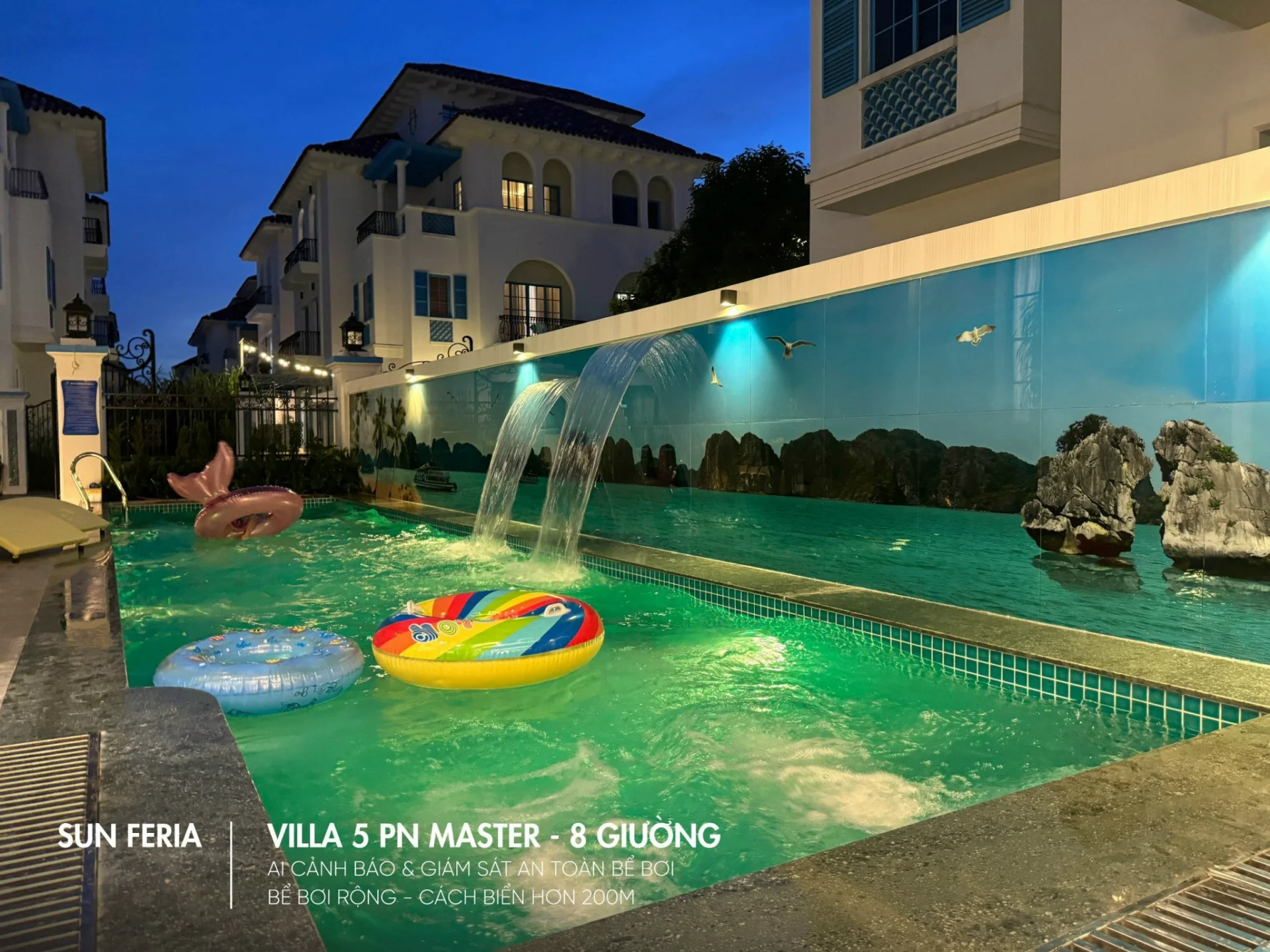 M611 Sunferia - ảnh 3