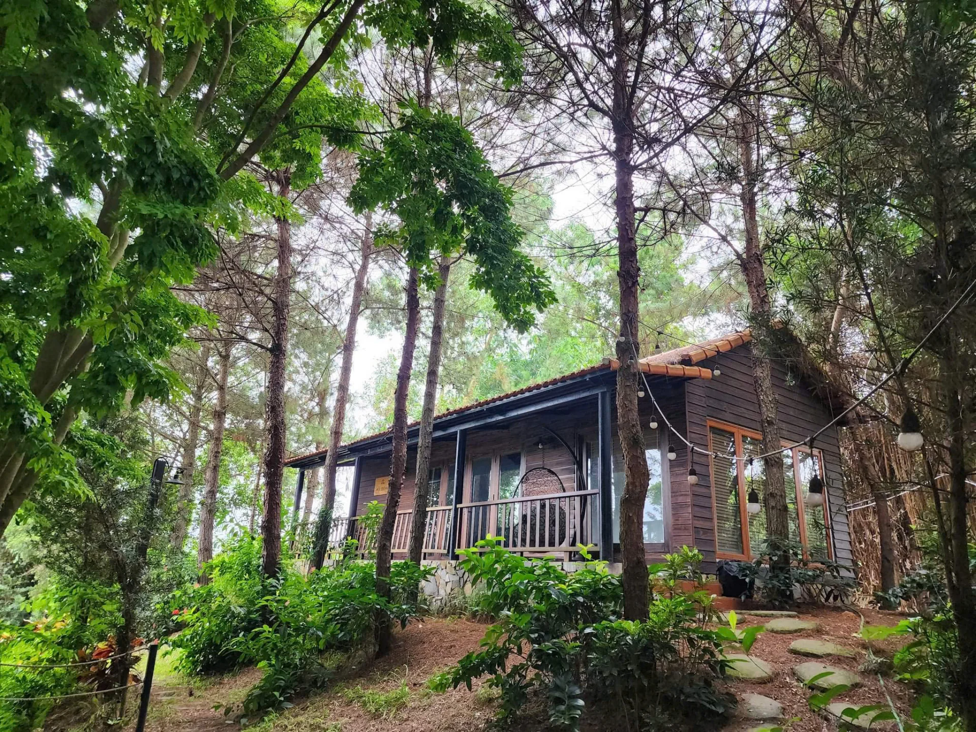 Một Tình Đồng Quan Homestay - ảnh 3