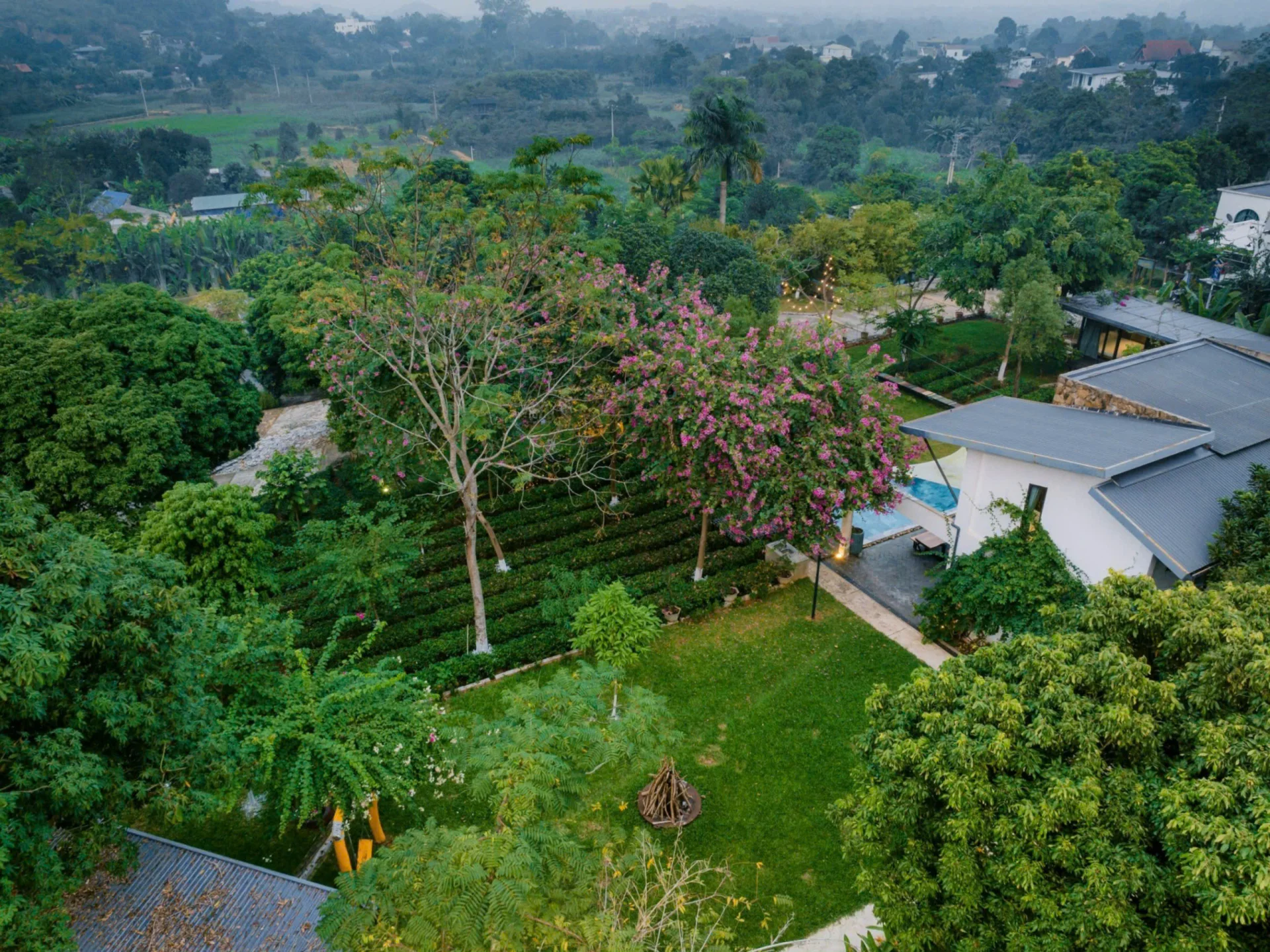 Camelia Villa - ảnh 3