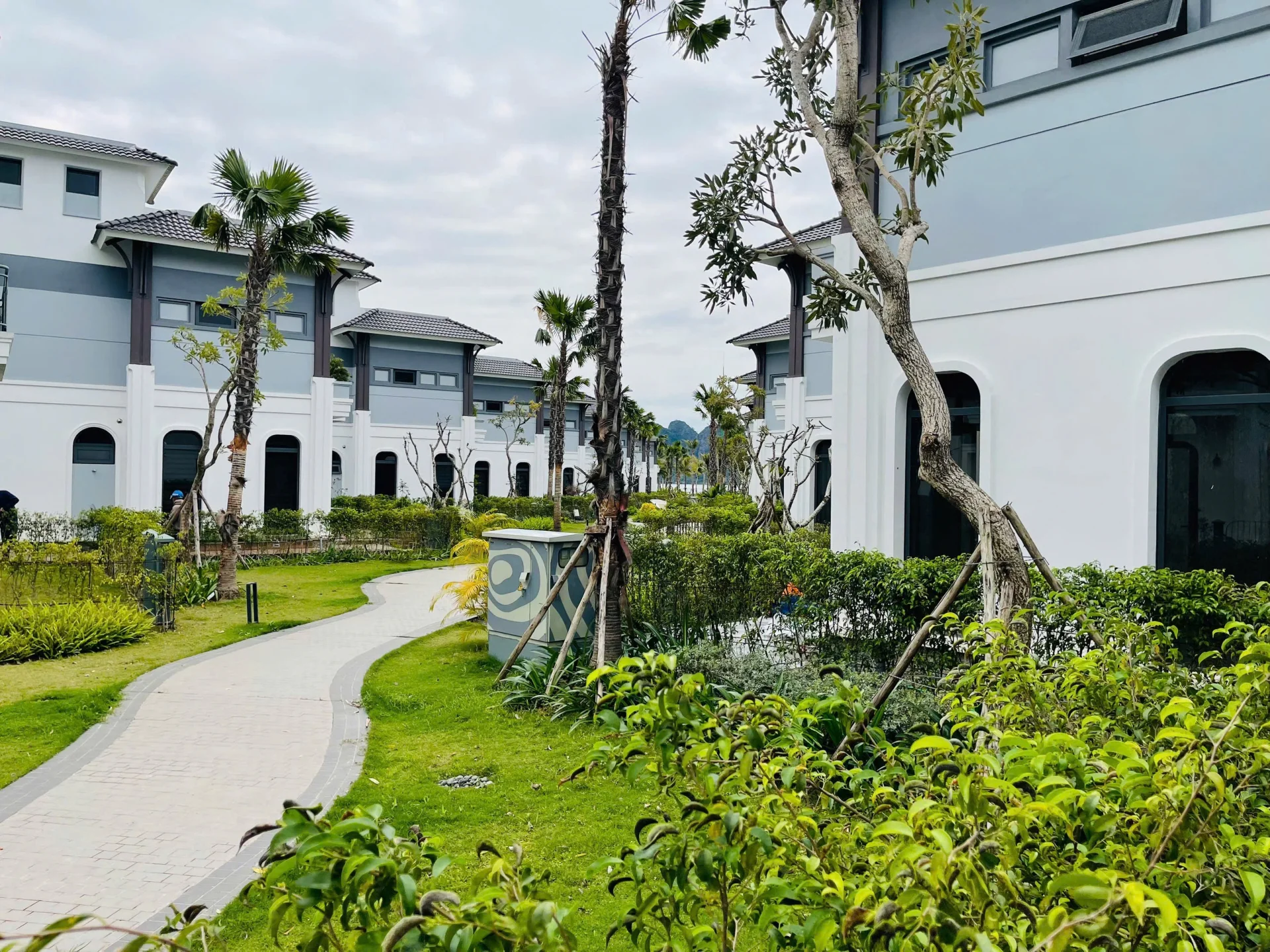 V3I03 Villa - ảnh 3