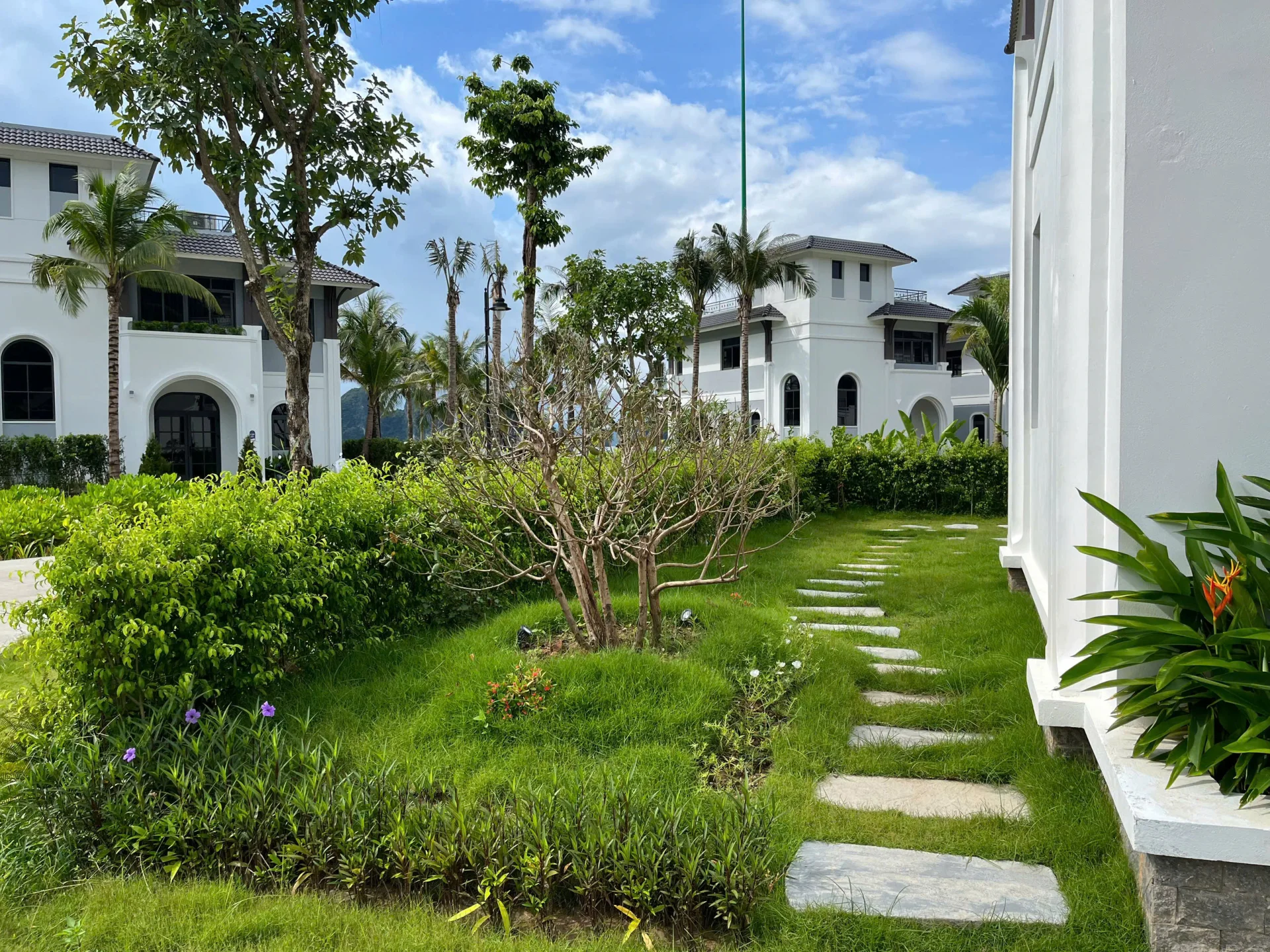 V3H11 Villa - ảnh 3