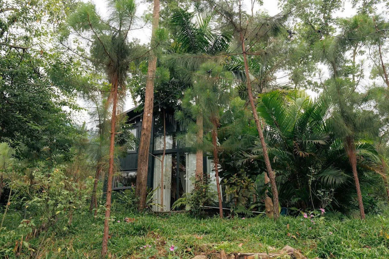 Oliu Homestay - ảnh 3