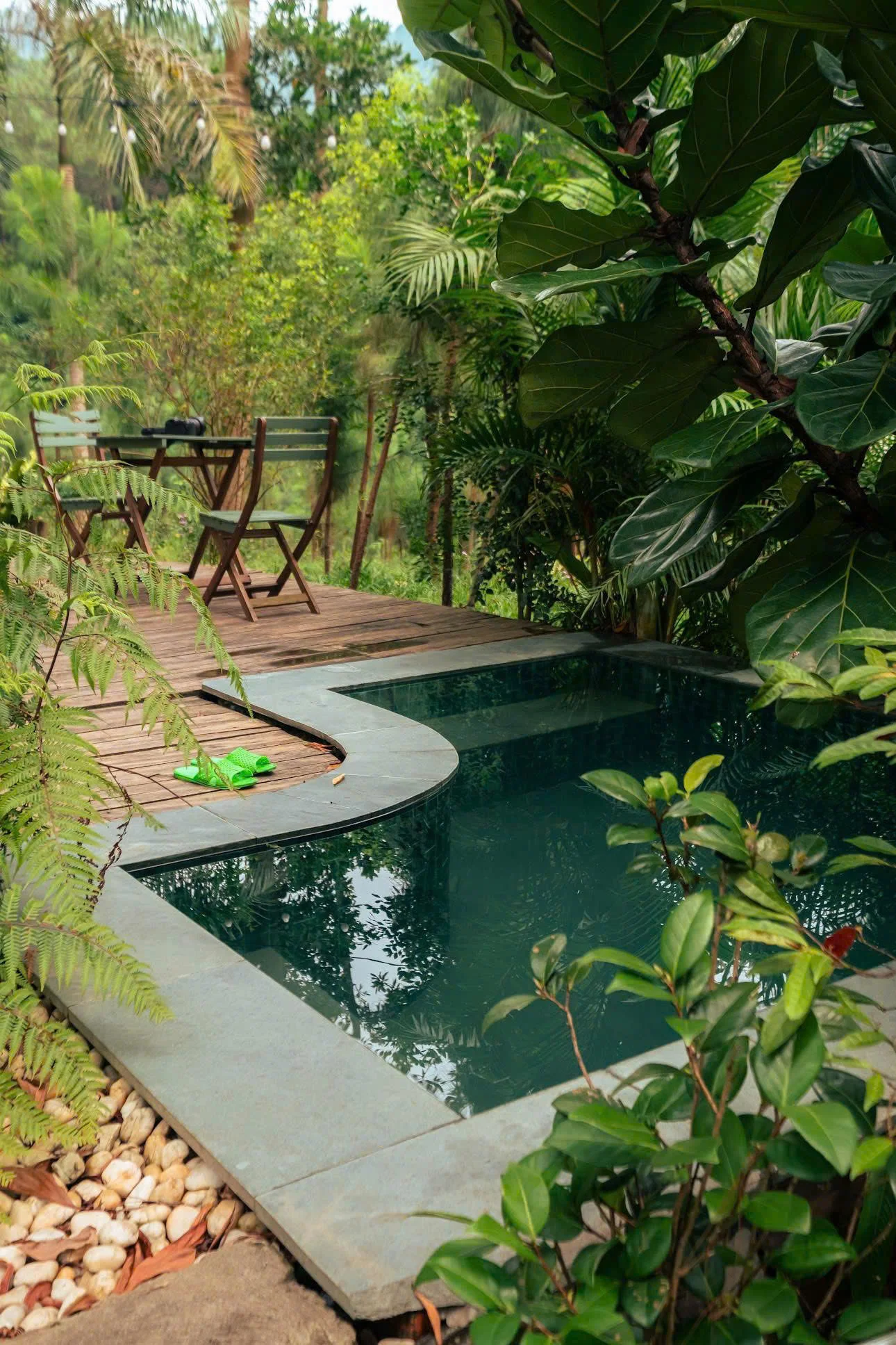 Oliu Homestay - ảnh 2