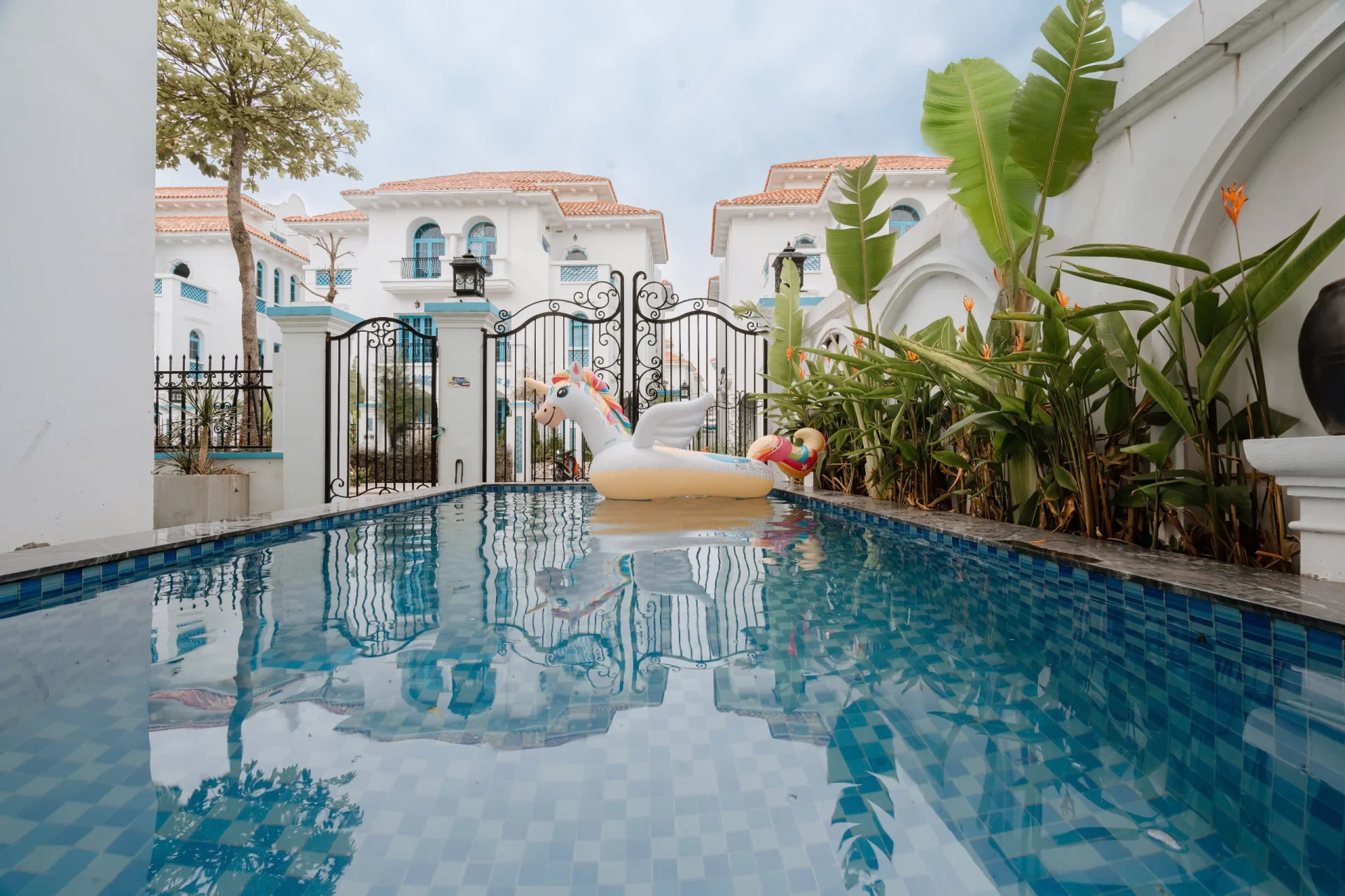 C717 Sunferia - ảnh 3