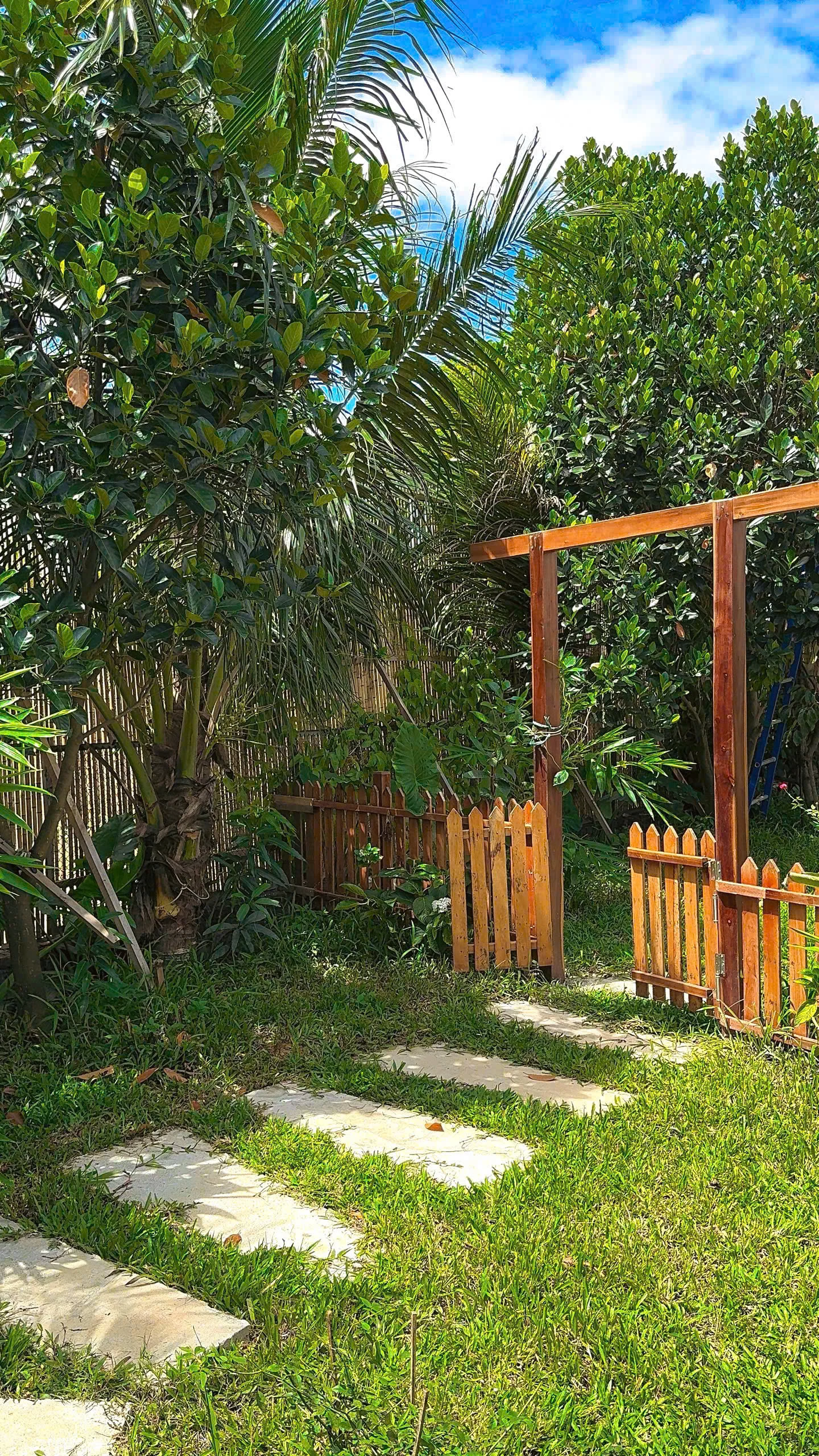 Matcha Homestay - ảnh 3