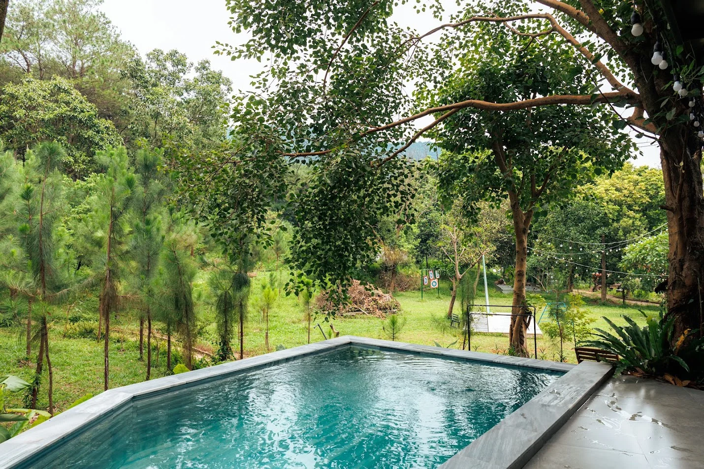 Fern Garden Villa - ảnh 3