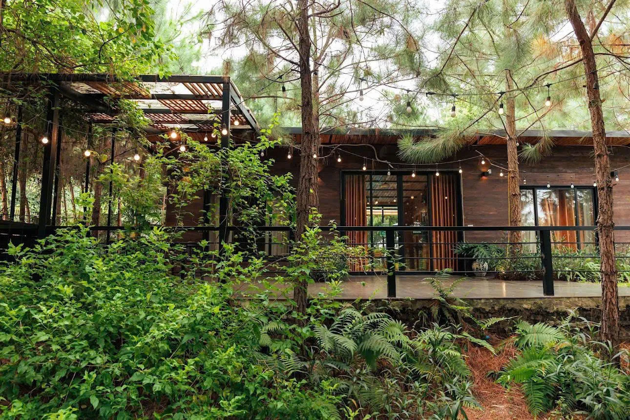 Juno Garden Homestay - ảnh 5