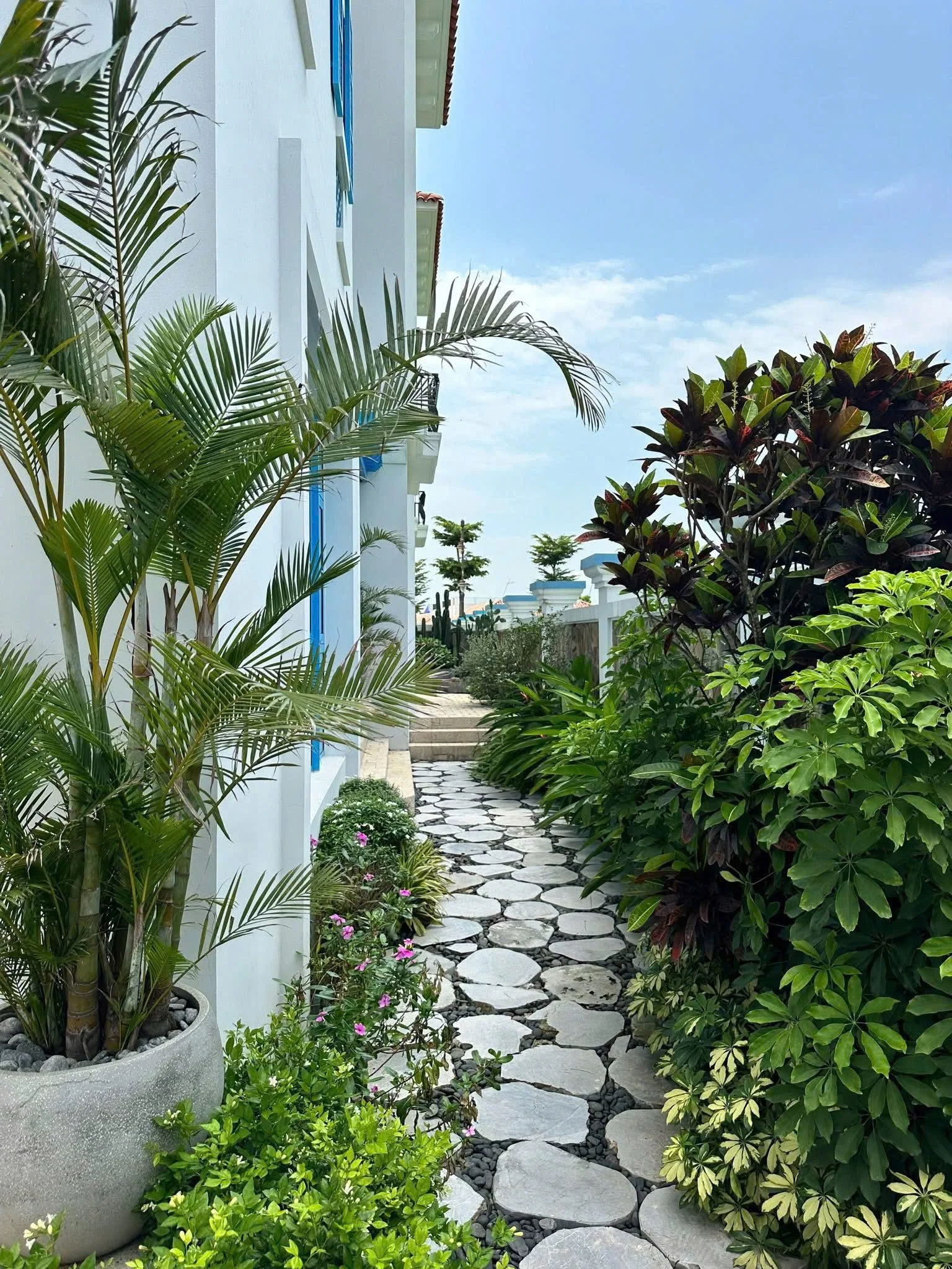 C239 Sunferia - ảnh 5