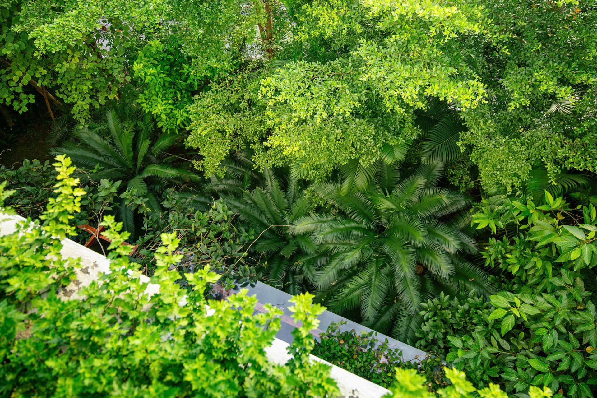 E3.16 Villa Venus Đại Lải - Khu B - ảnh 4