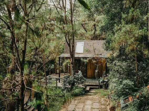 Fullhouse Choai Homestay - ảnh 2