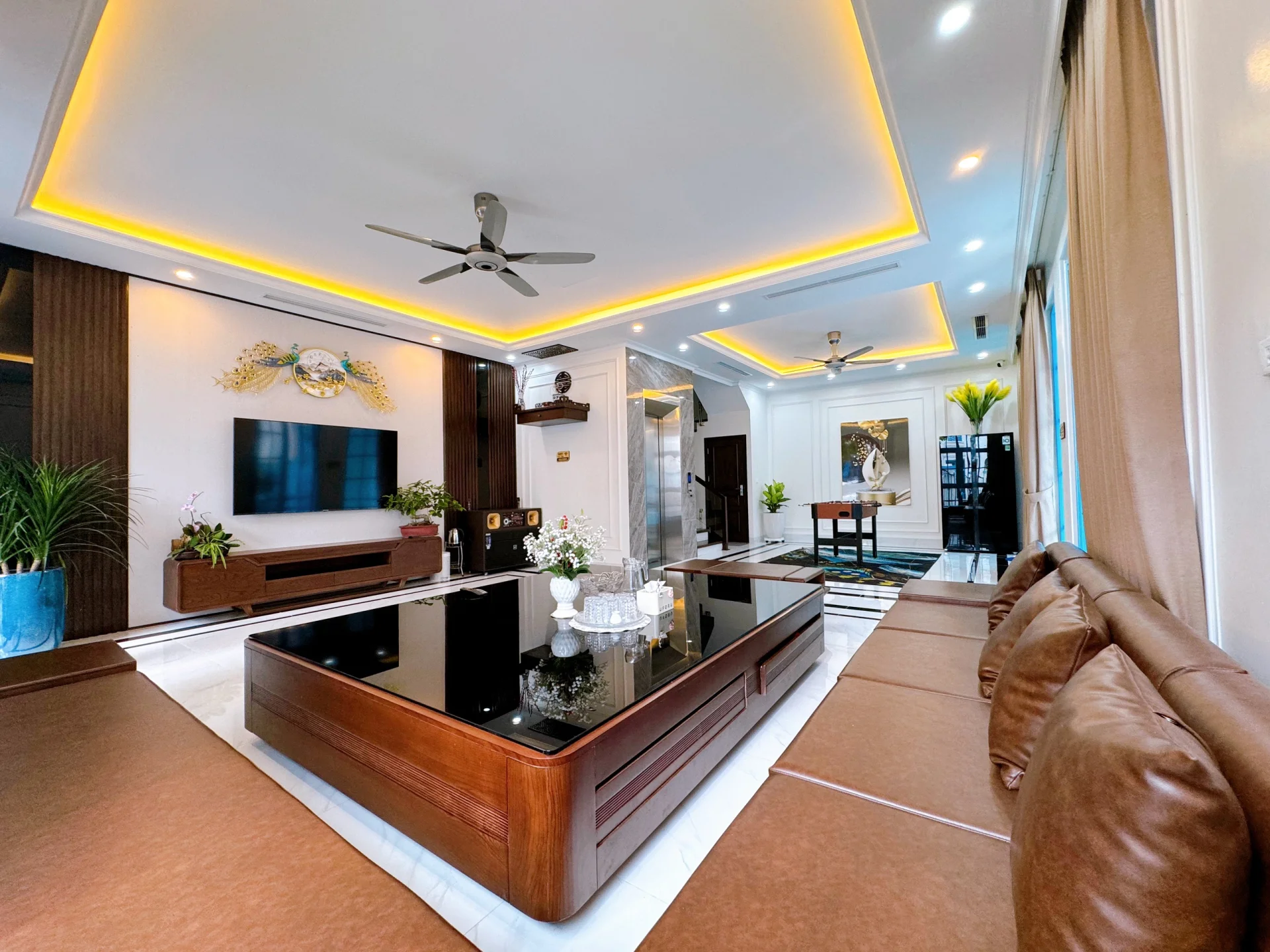 C605 Sunferia - ảnh 4