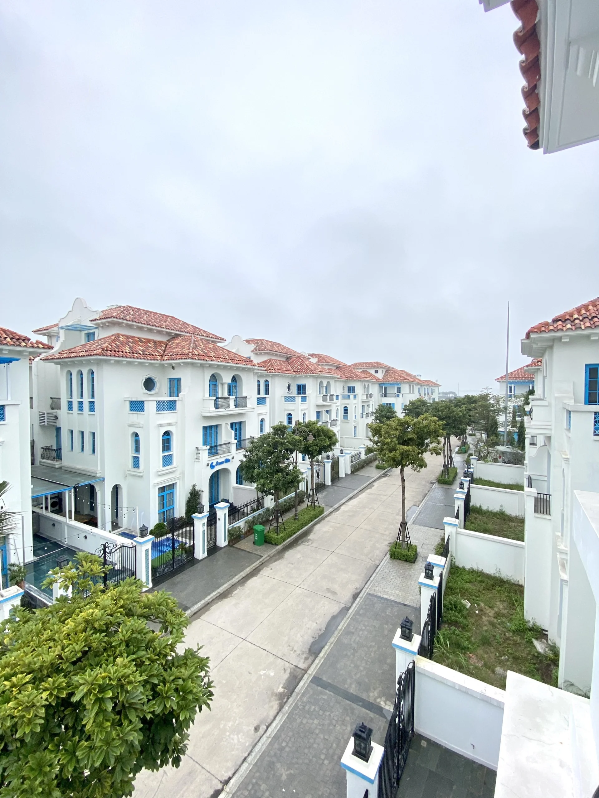 C305 Sunferia - ảnh 2