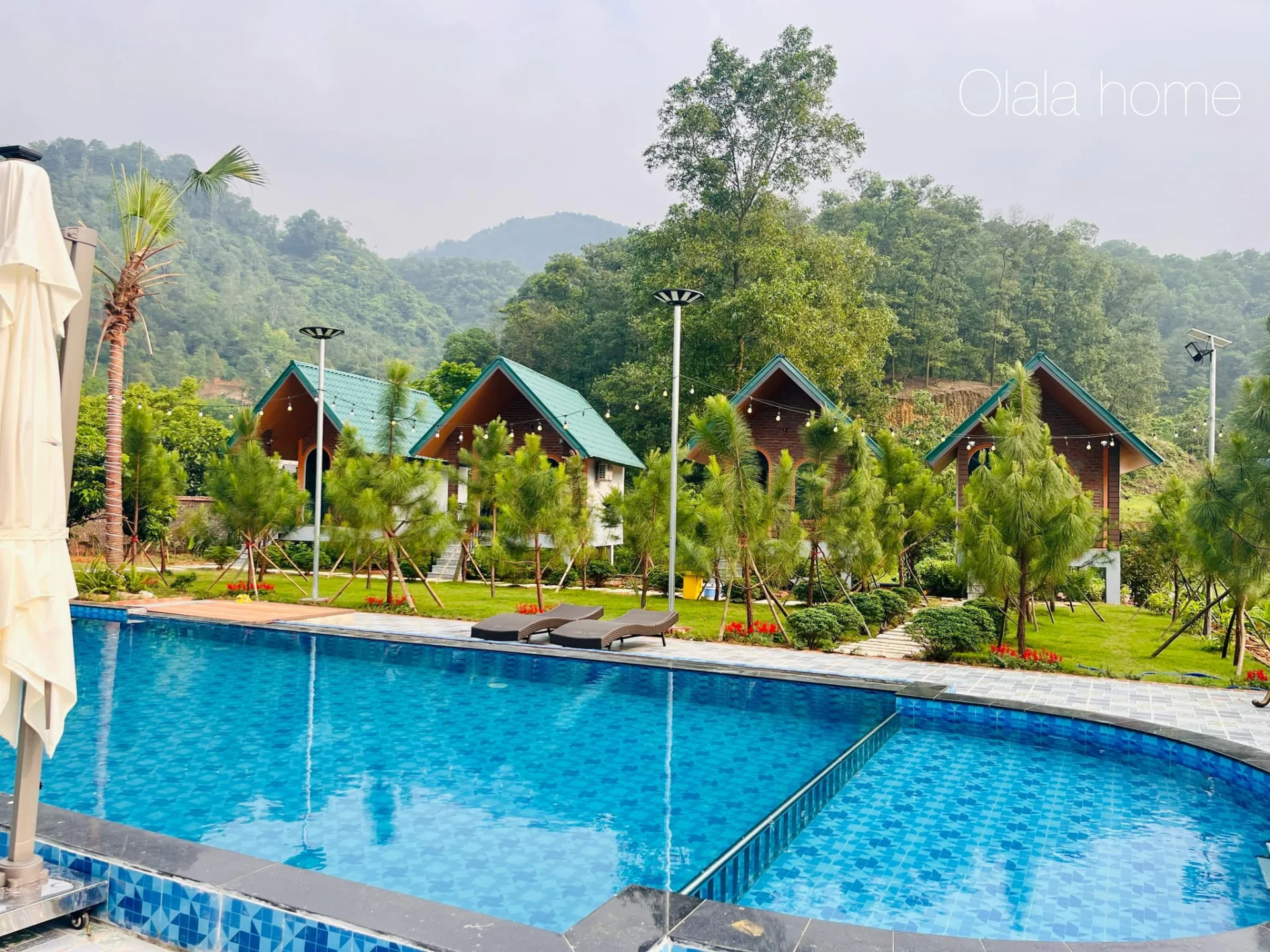 Olala Homestay - ảnh 5