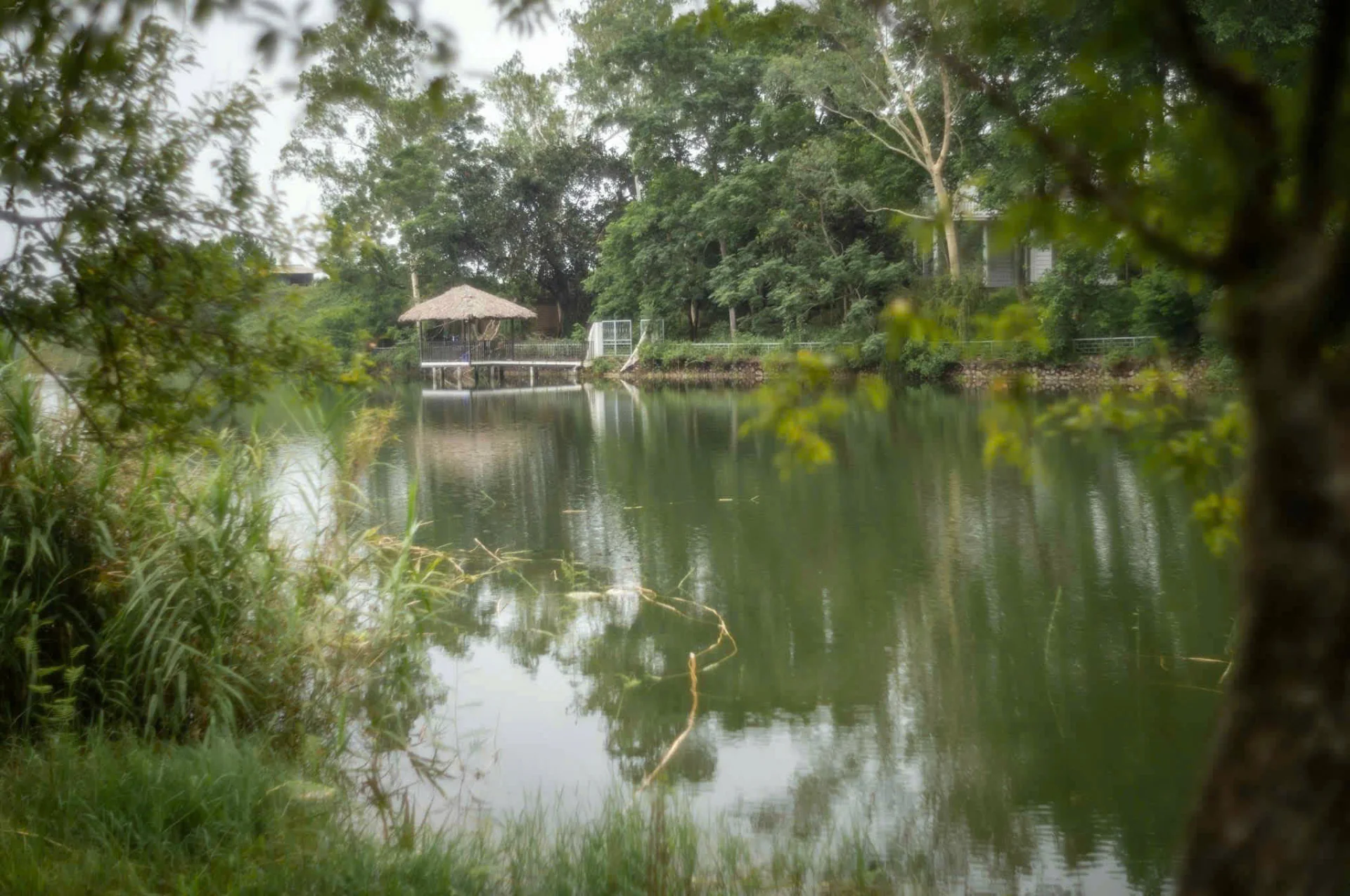 Candy Villa 6 Ngủ - ảnh 2