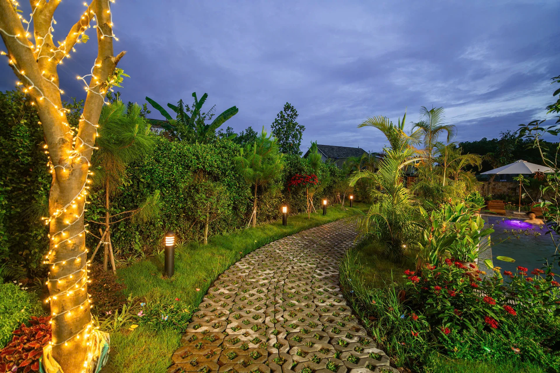 Mimi House Homestay - ảnh 3