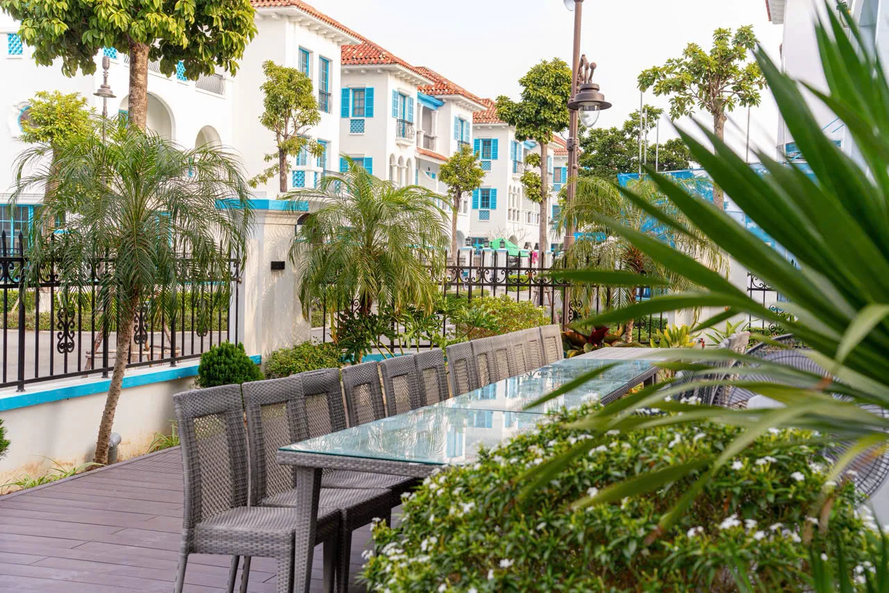 M536 Sunferia - ảnh 5