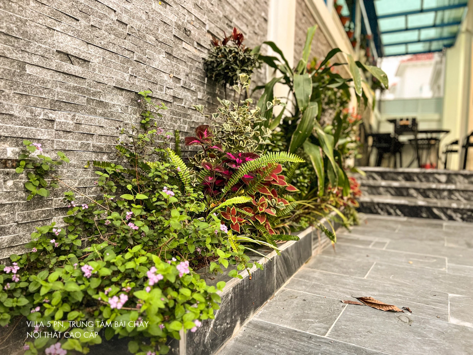 C603 Sunferia - ảnh 5