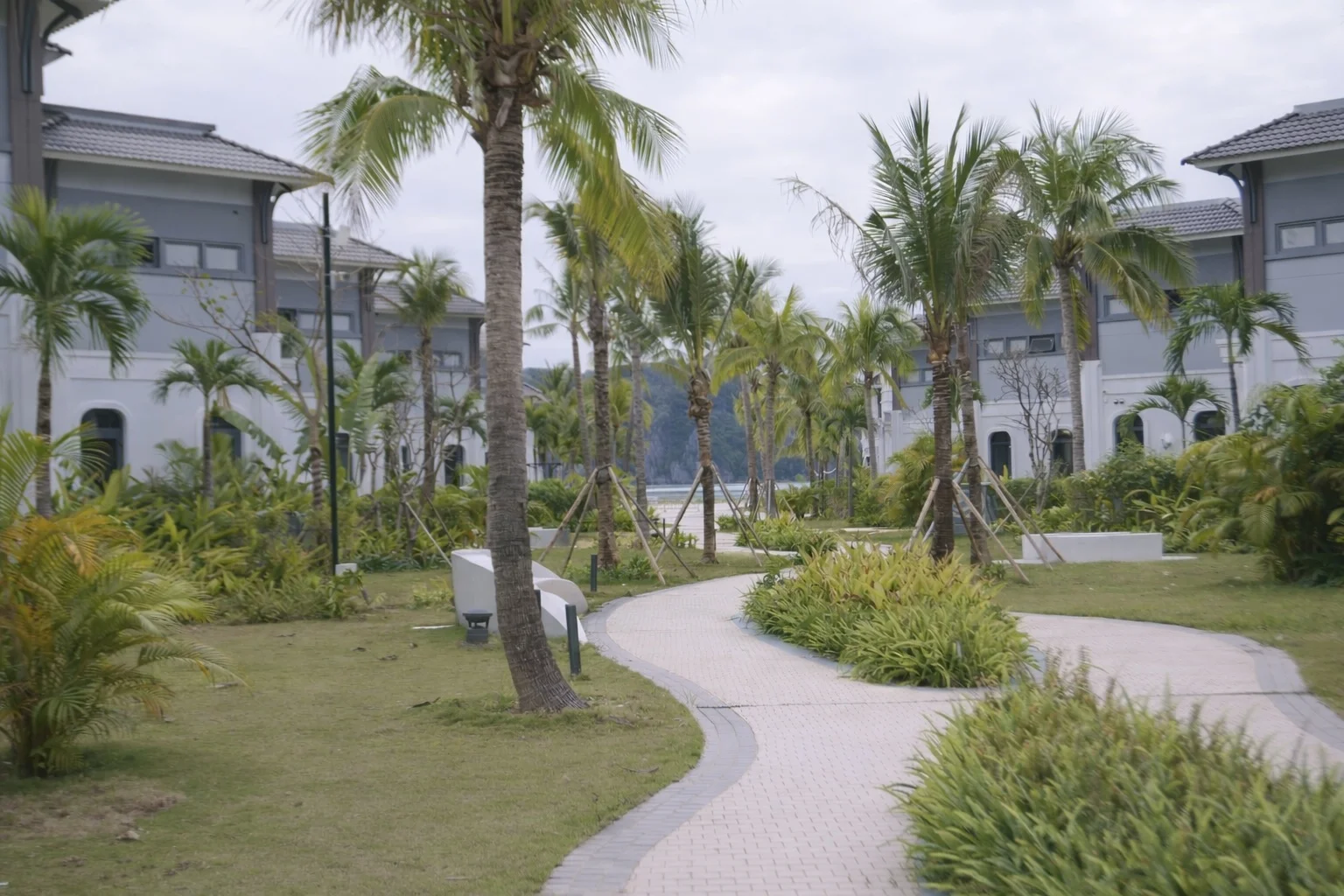 V3J06 Villa - ảnh 2
